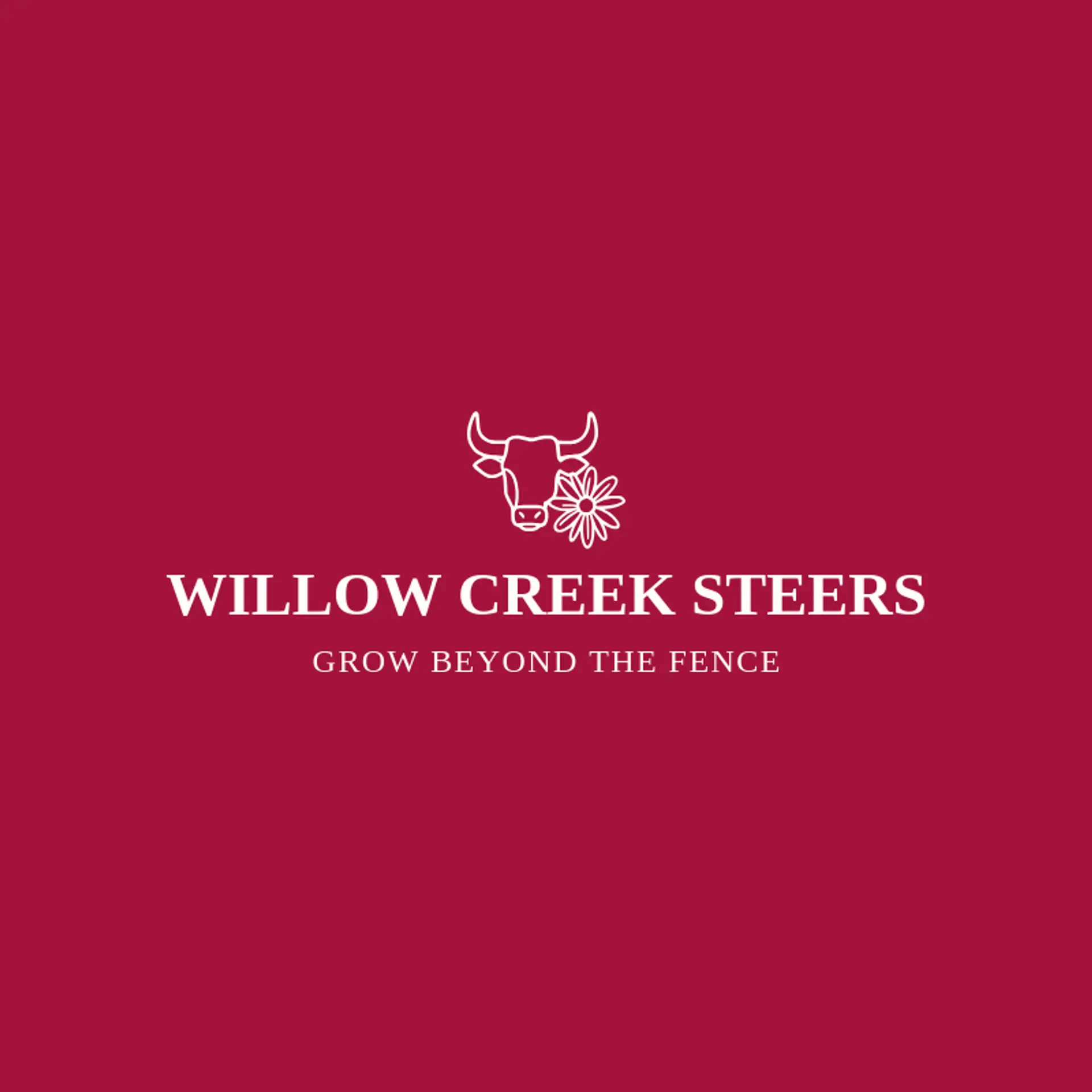 Willow Creek Steers logo for longhorn