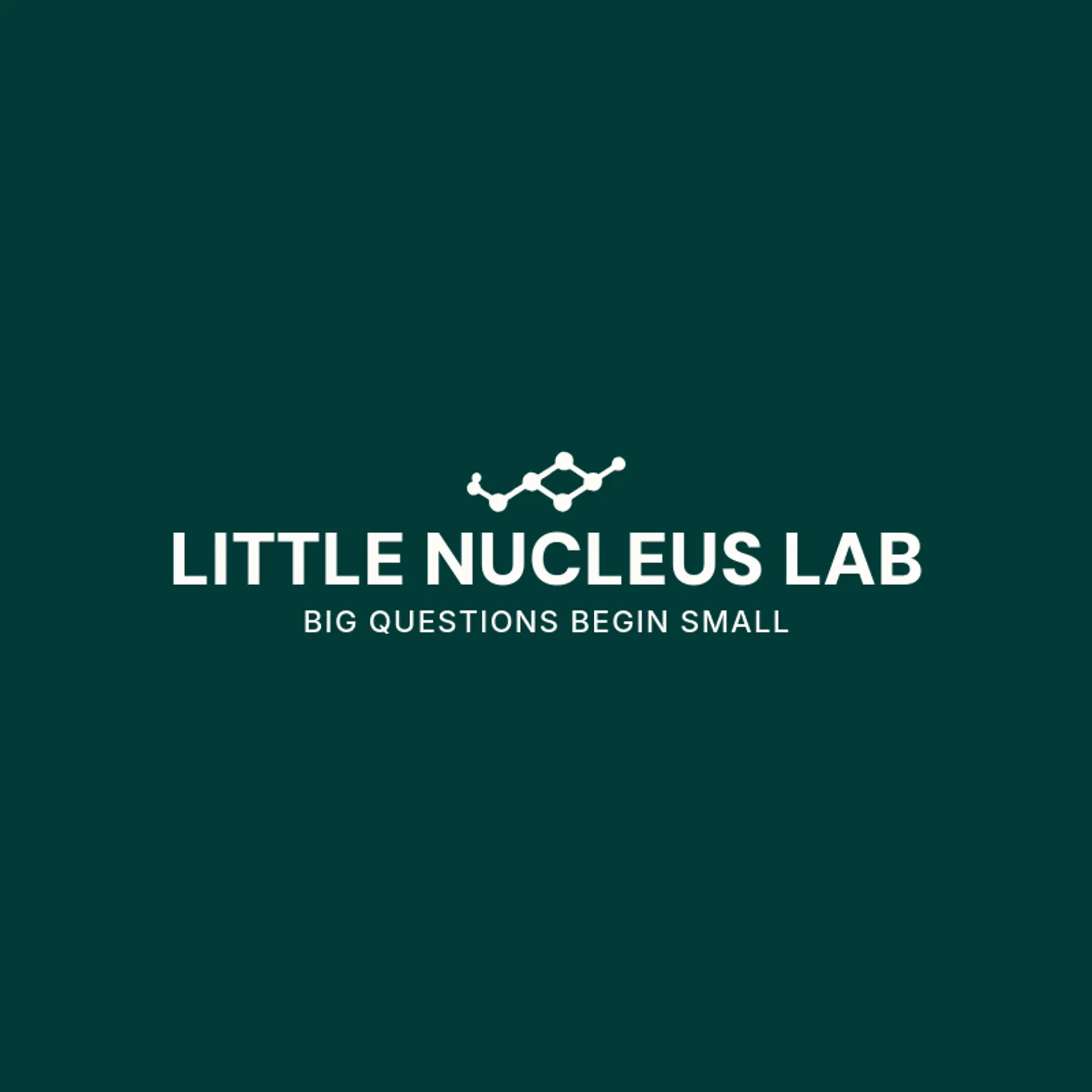 Little Nucleus Lab logo for atom