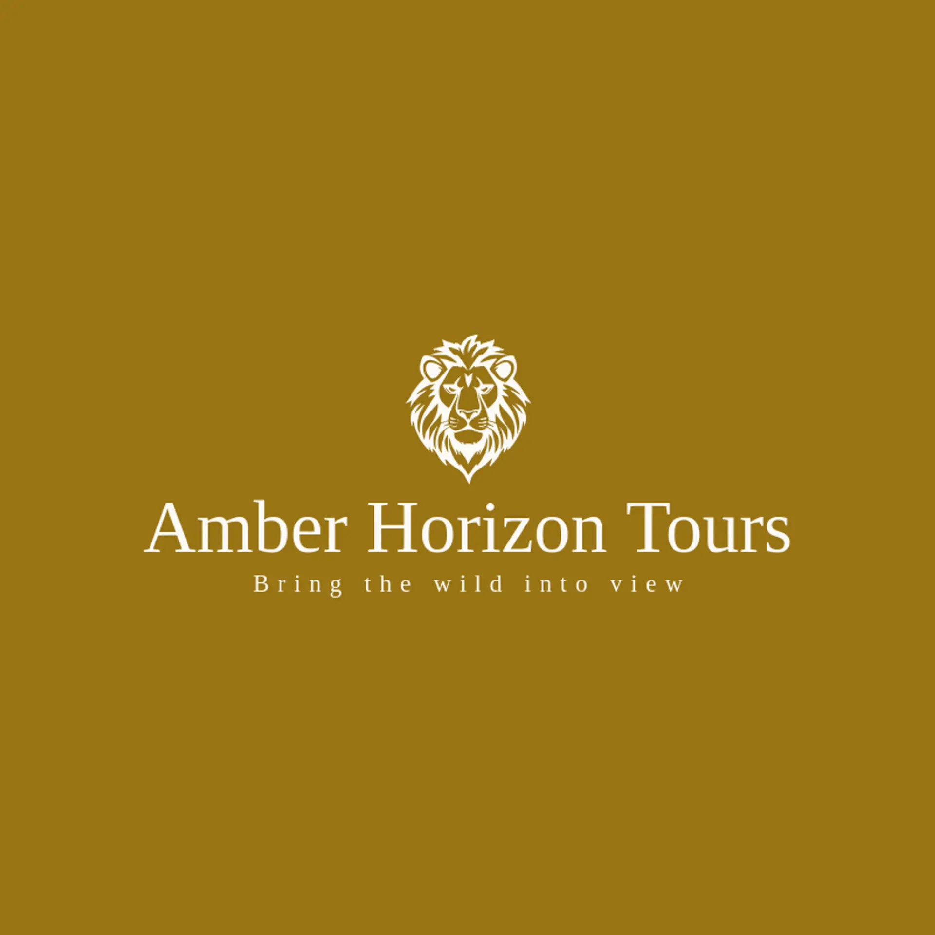 Amber Horizon Tours logo for safari