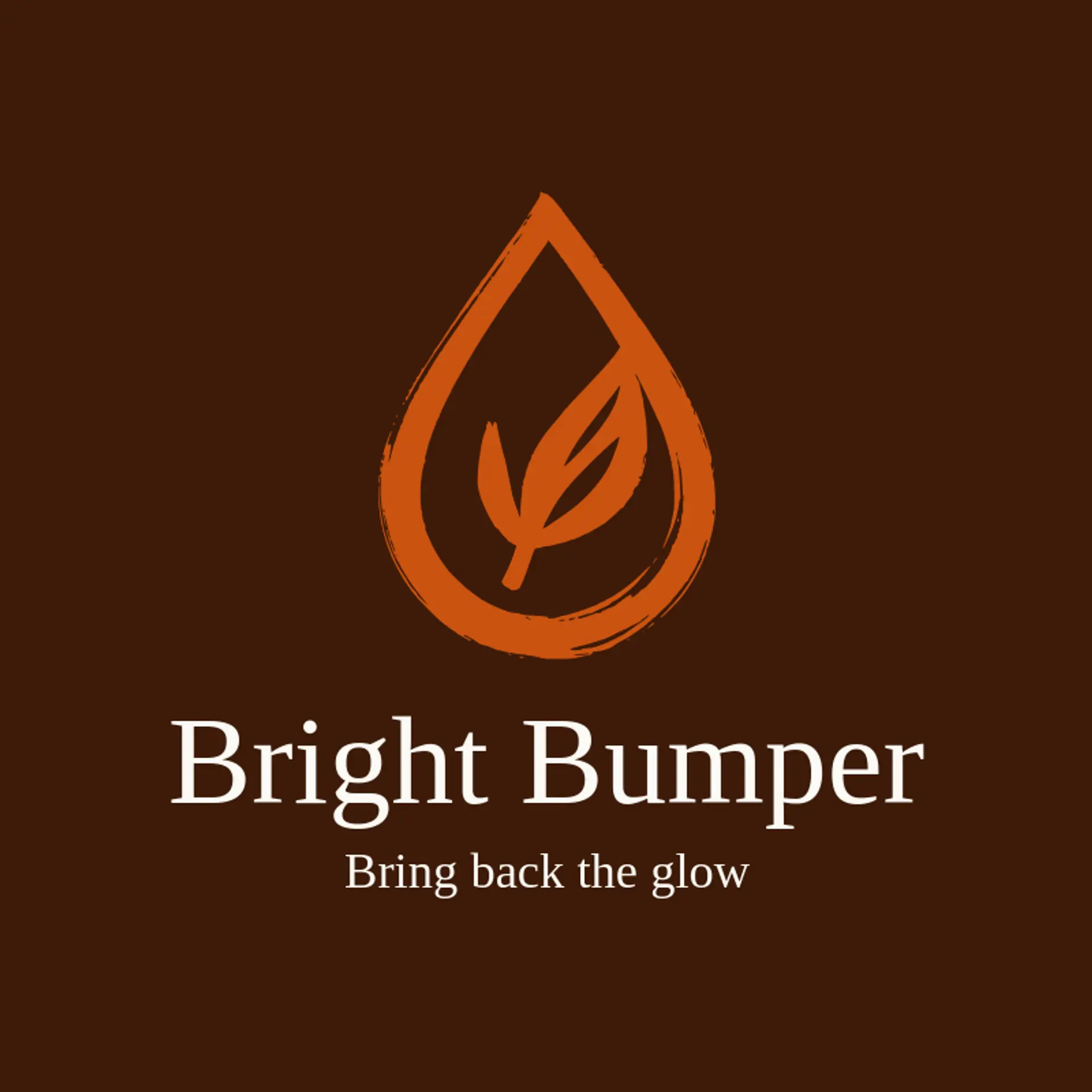 Bright Bumper logo for auto detailing
