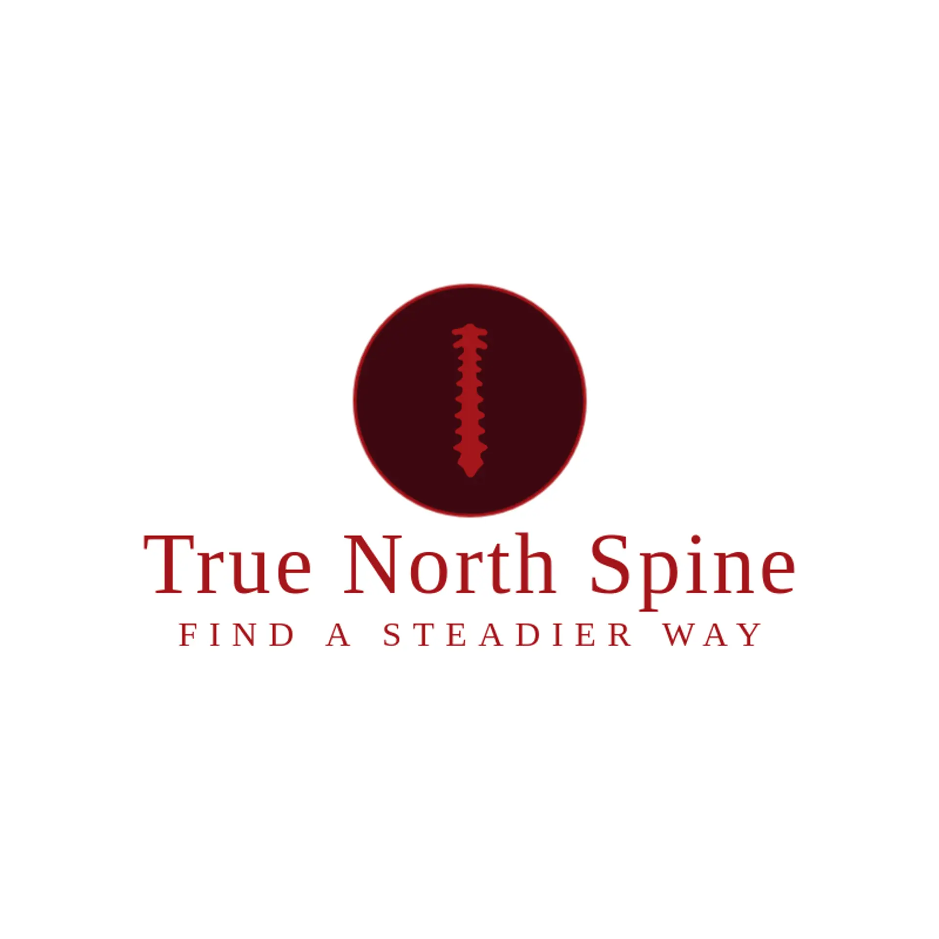 True North Spine logo for spine