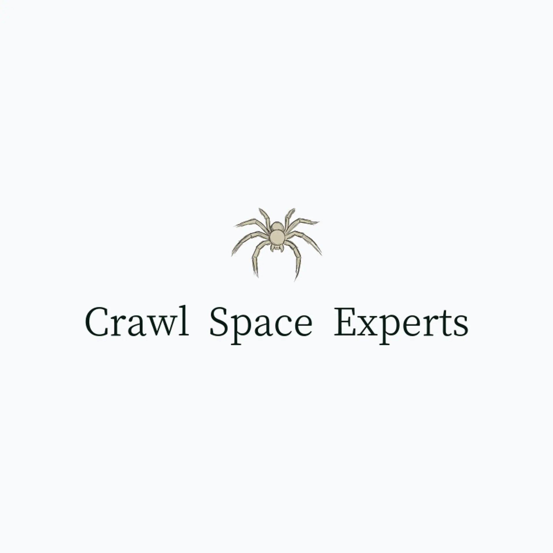Crawl Space Experts logo for spider