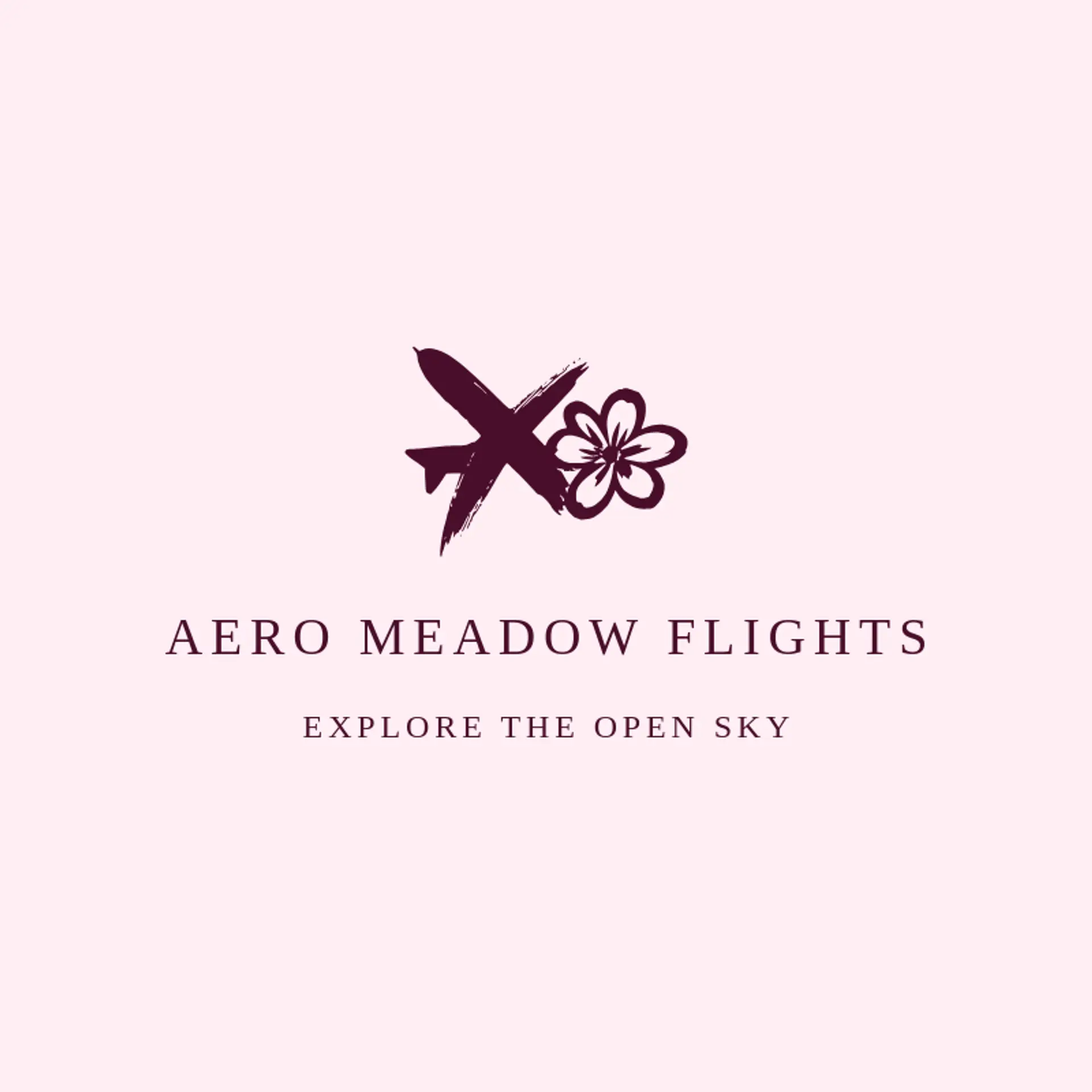 Aero Meadow Flights logo for flight