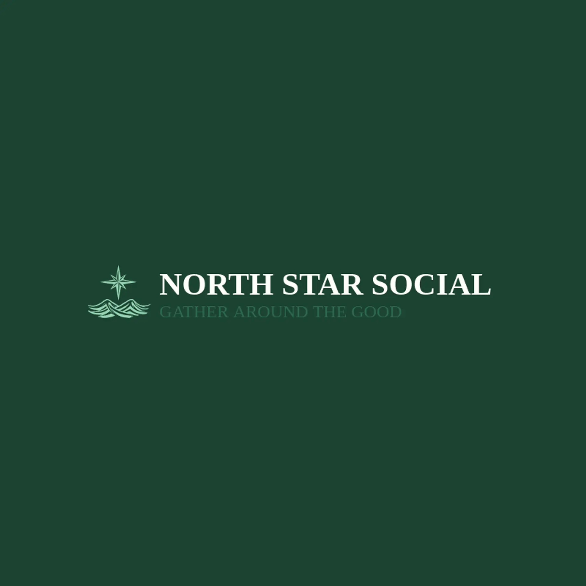 North Star Social logo for michigan