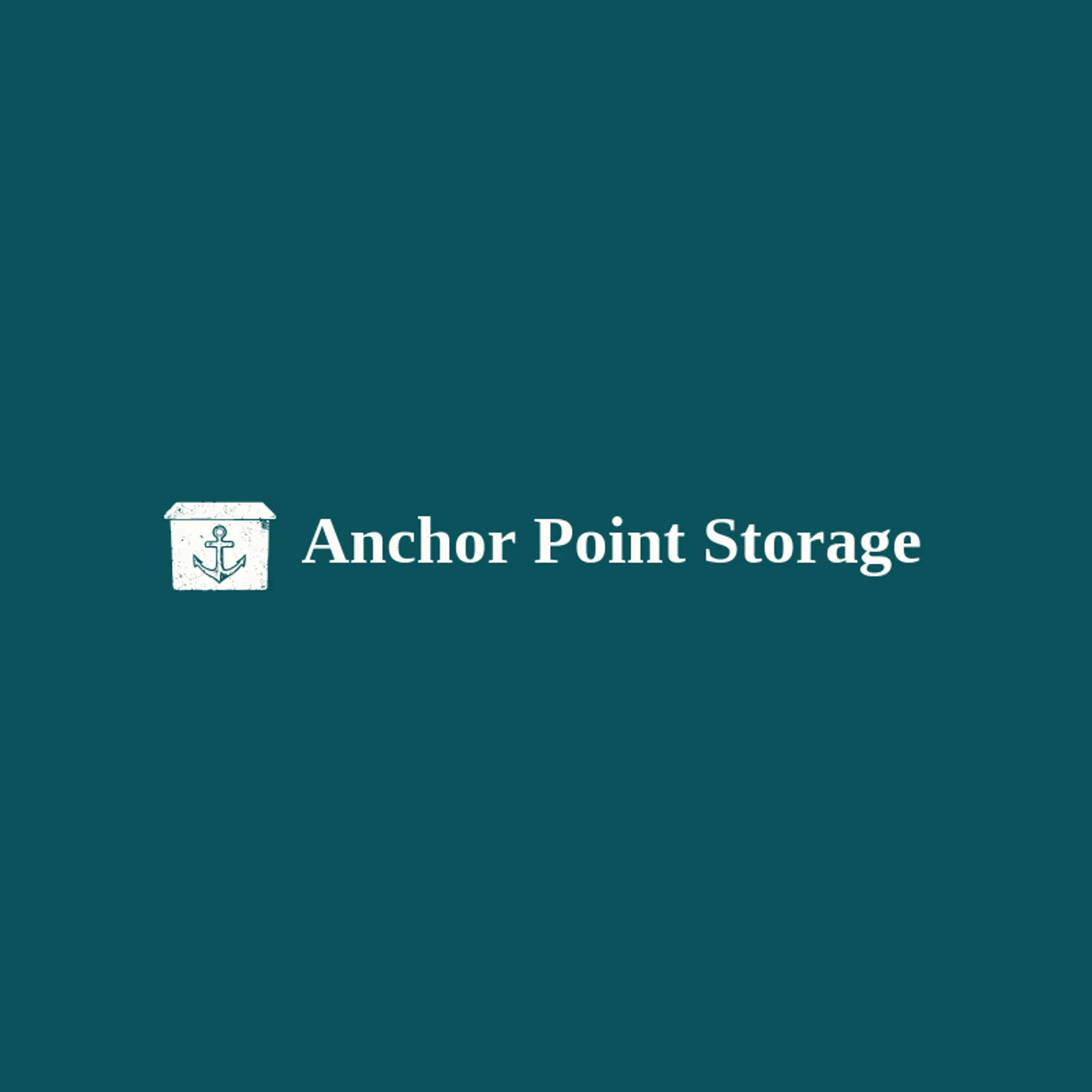 Anchor Point Storage logo for storage