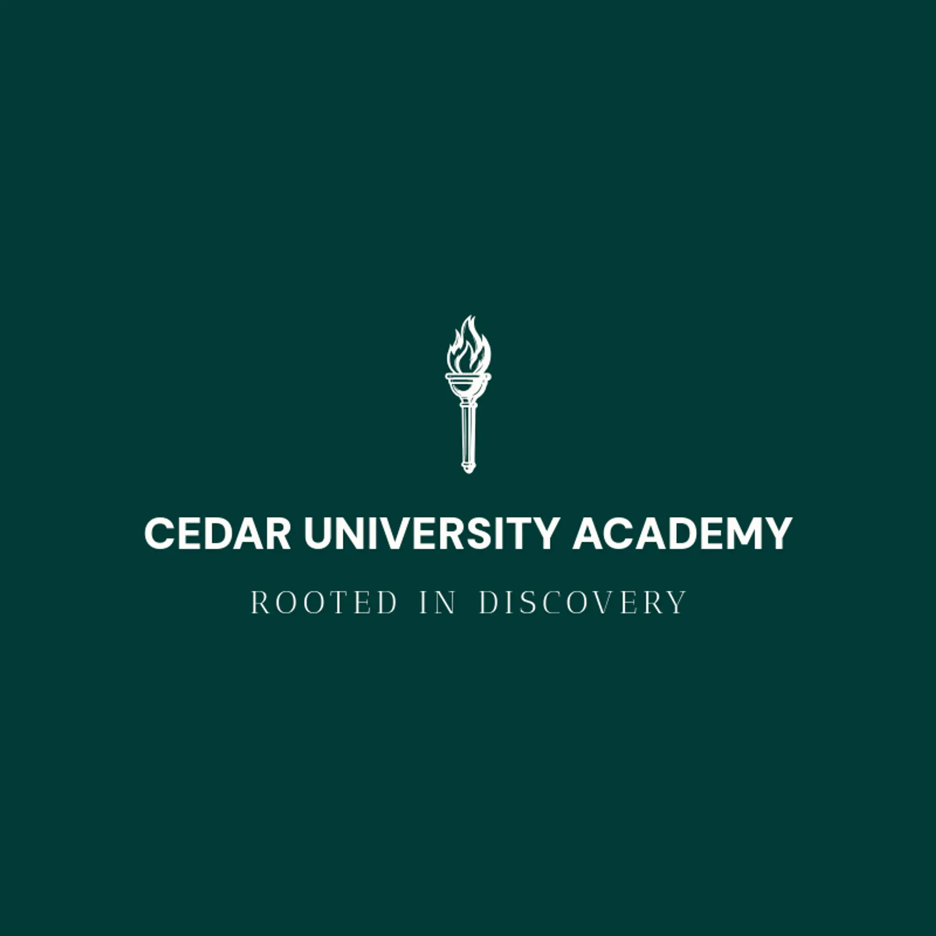 Cedar University Academy logo for university
