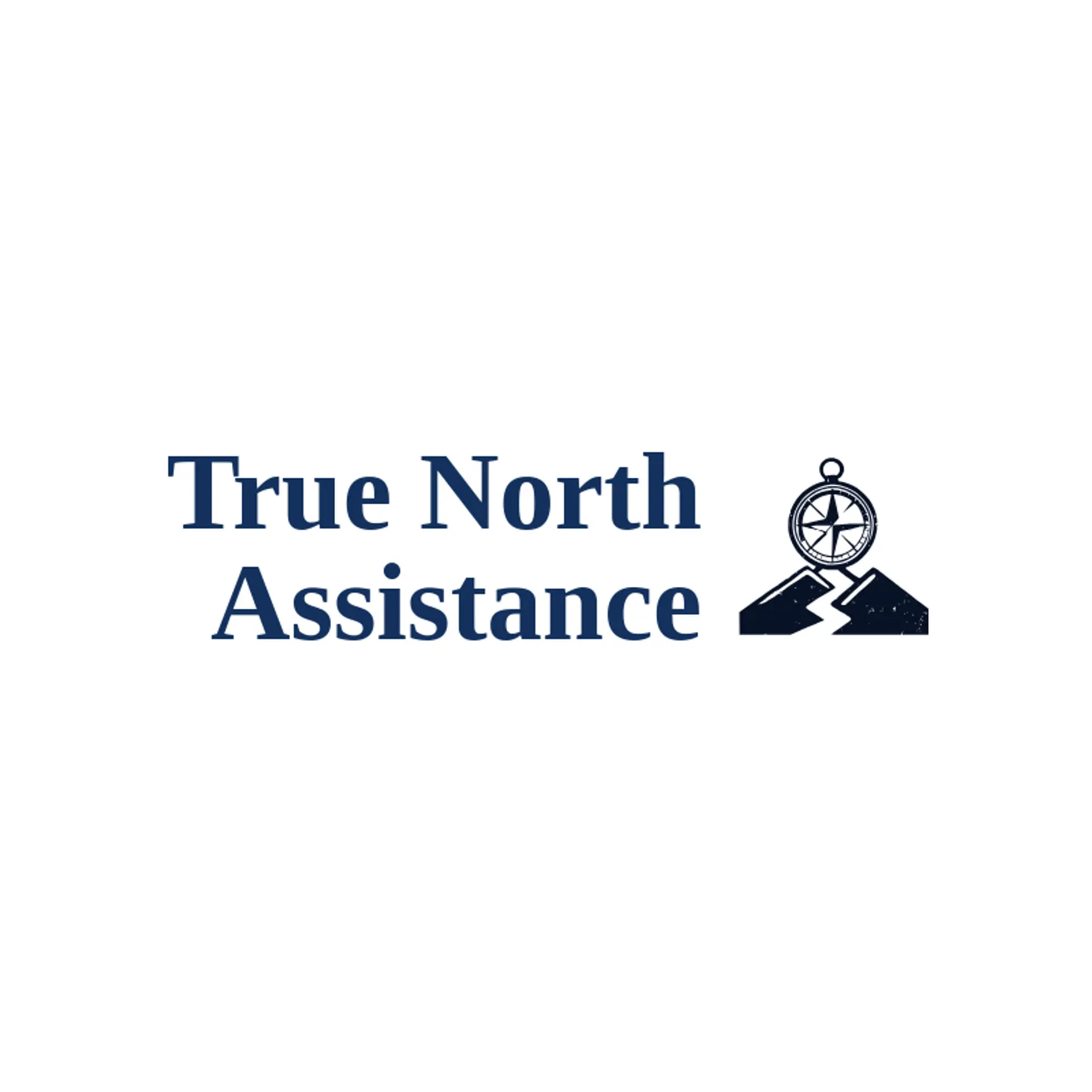 True North Assistance logo for rescue