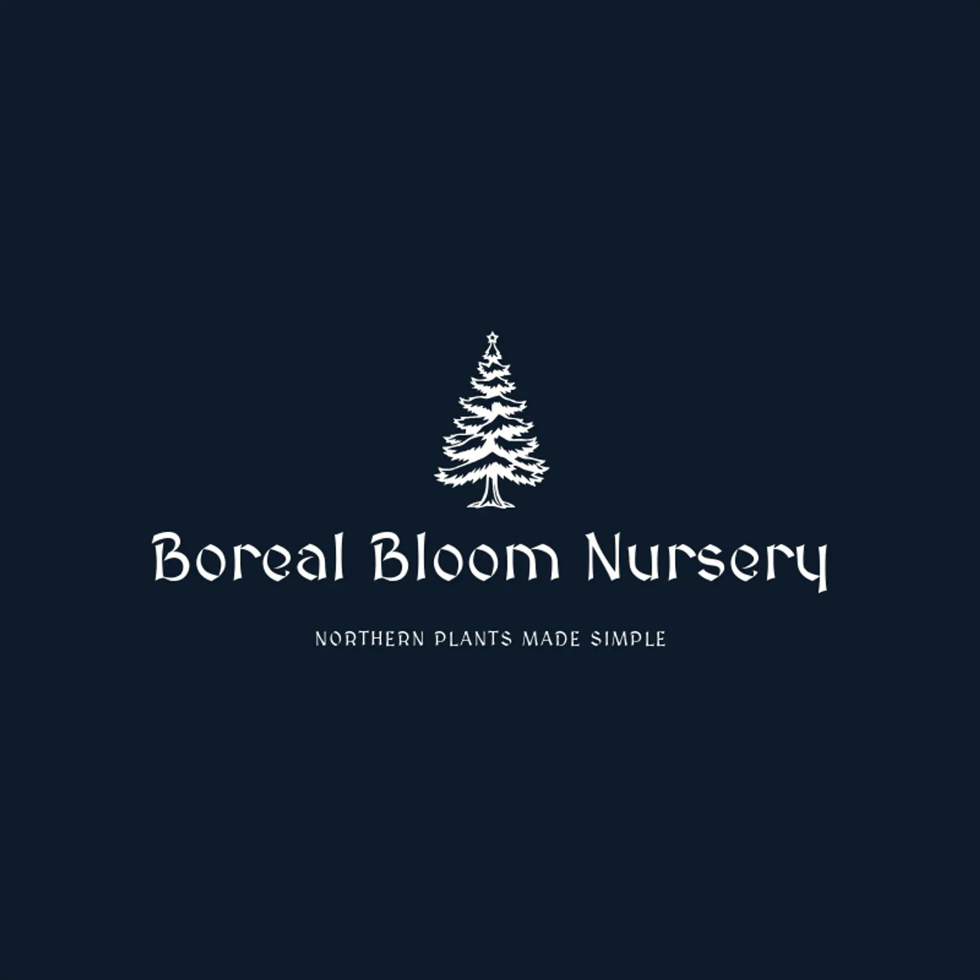 Boreal Bloom Nursery logo for evergreen