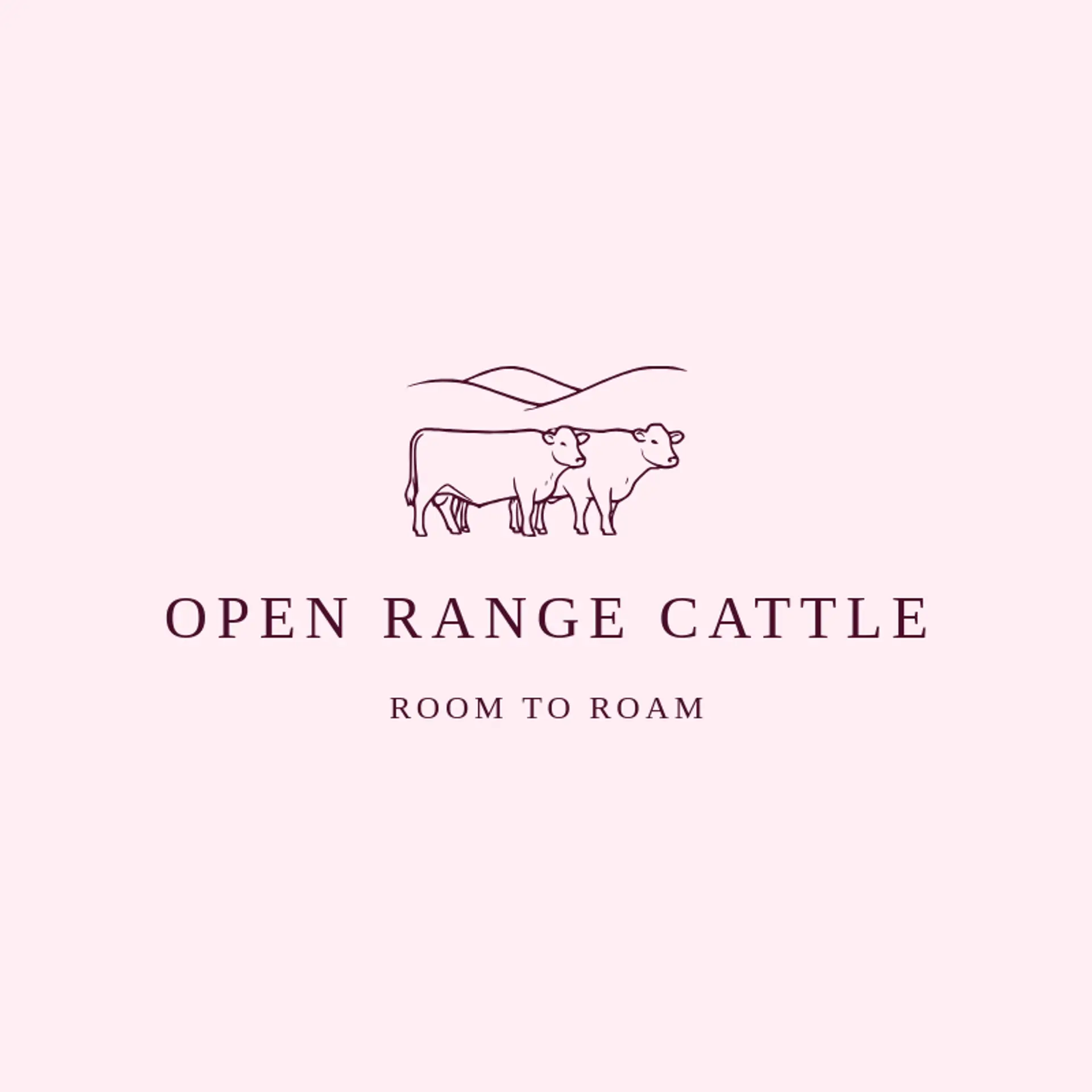 Open Range Cattle logo for beef