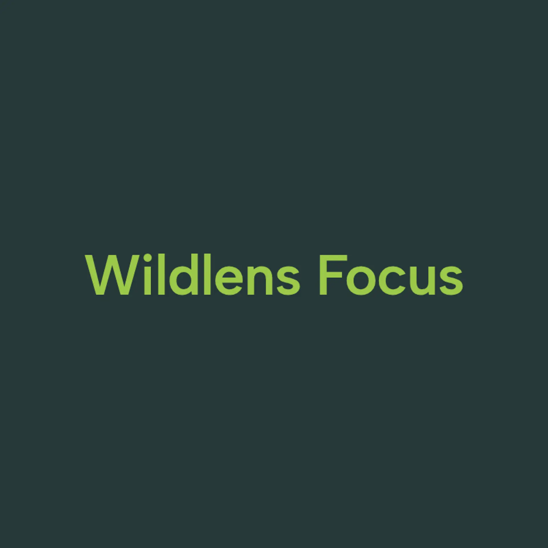 WildLens Creations logo for wildlife photography