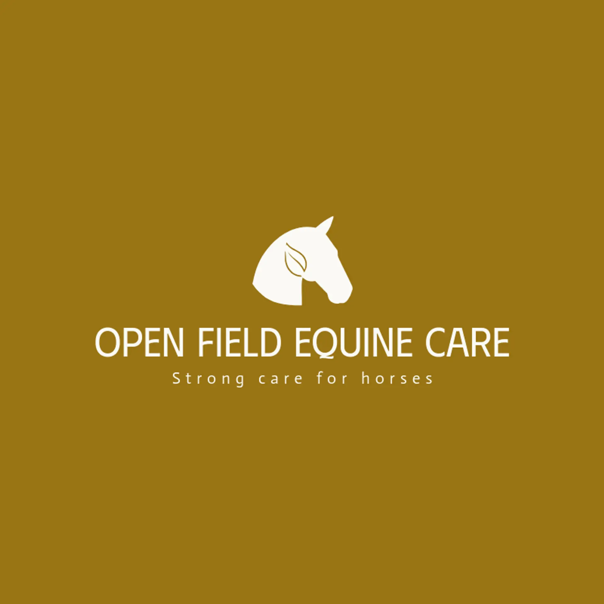 Open Field Equine Care logo for veterinary