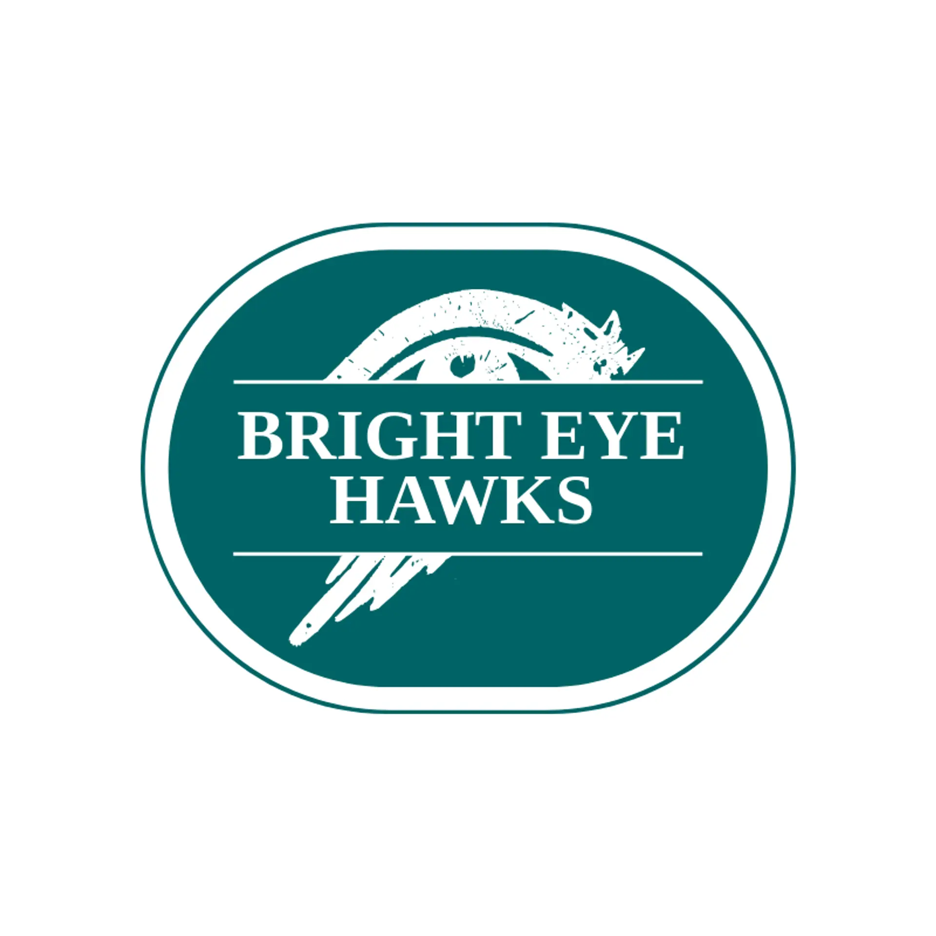 Bright Eye Hawks logo for hawk