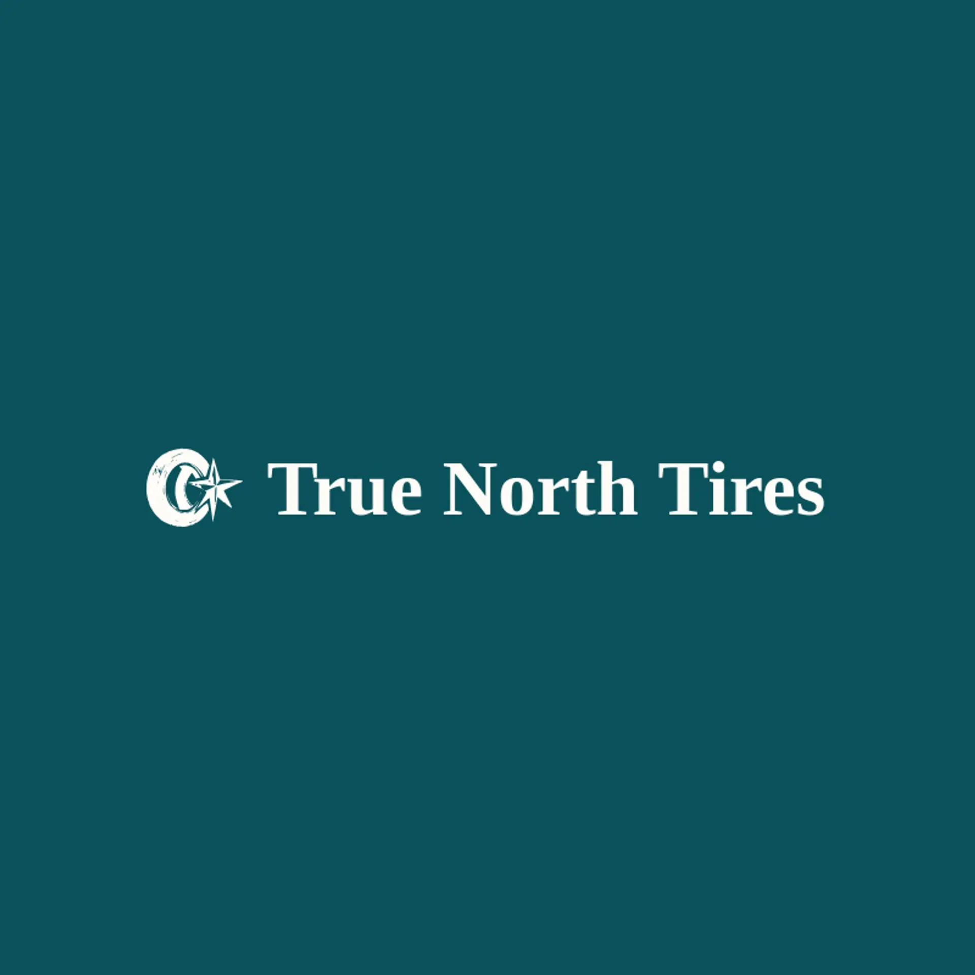 True North Tires logo for tire shop