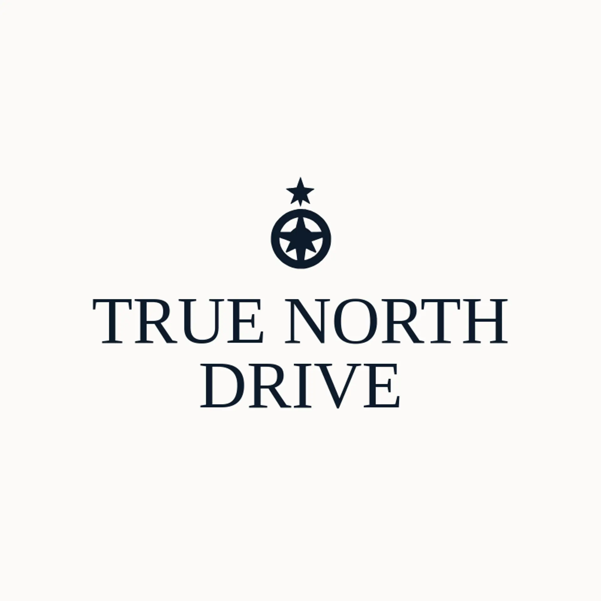 True North Drive logo for steering wheel
