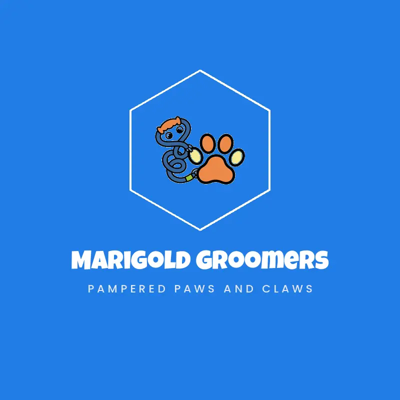 A dog paw with a leash, a dog walking logo in a cartoon style
