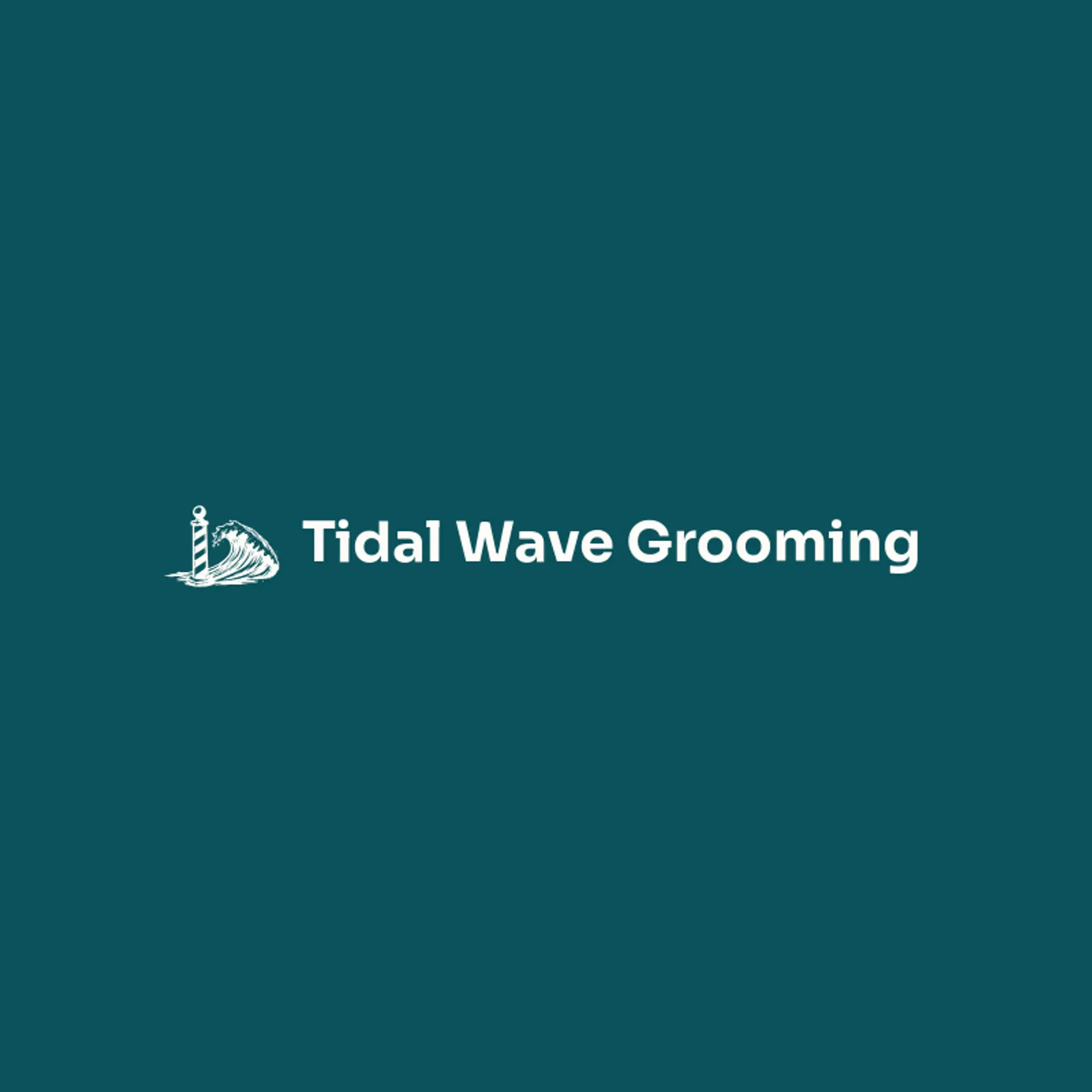 Tidal Wave Grooming logo for men salon