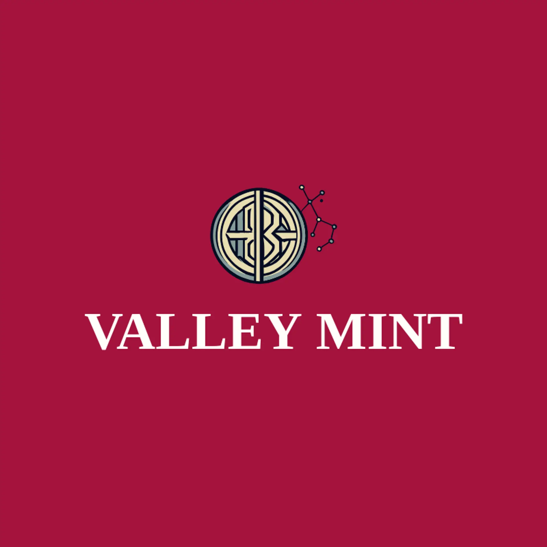 Valley Mint logo for fintech