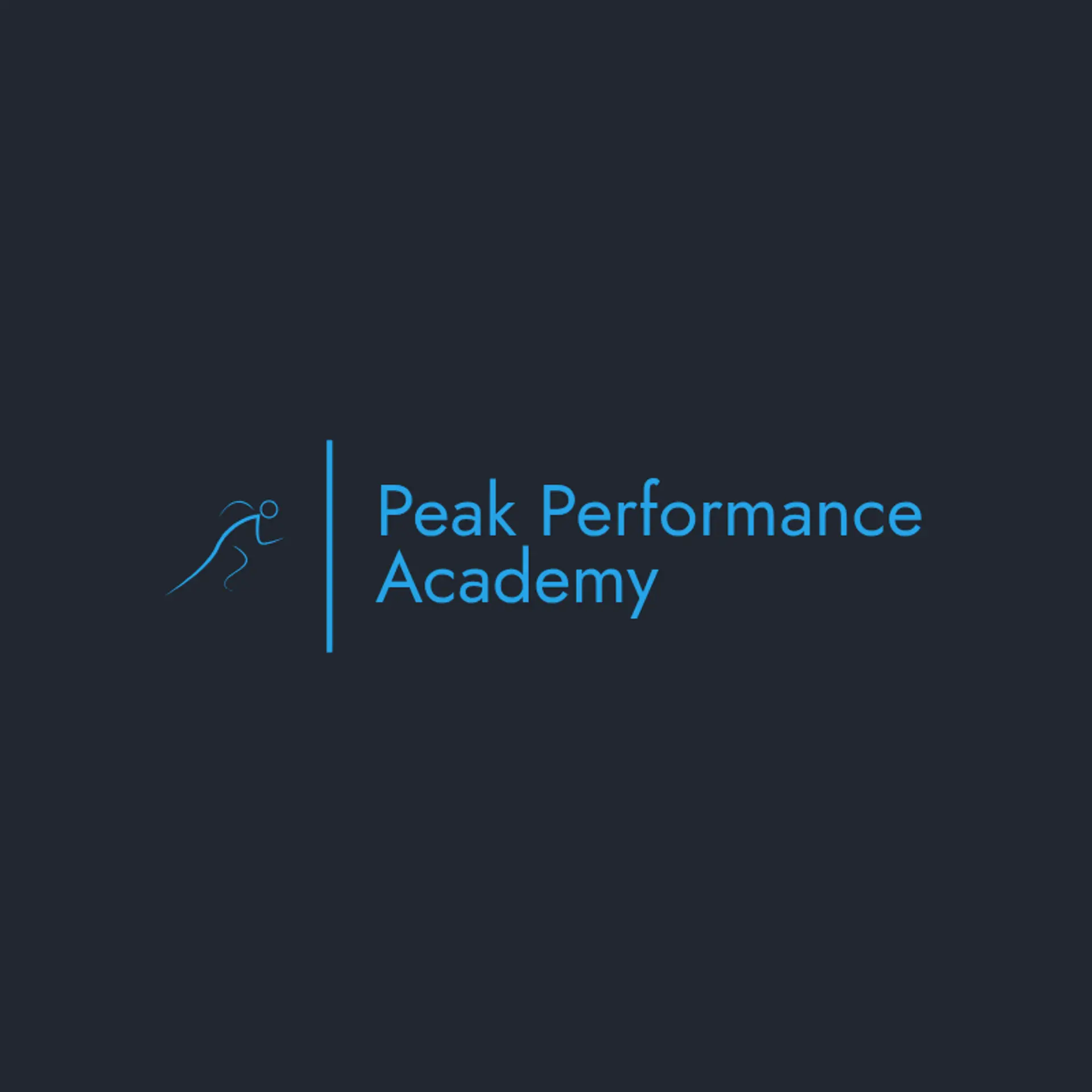 PeakPlay Academy logo for sports academy