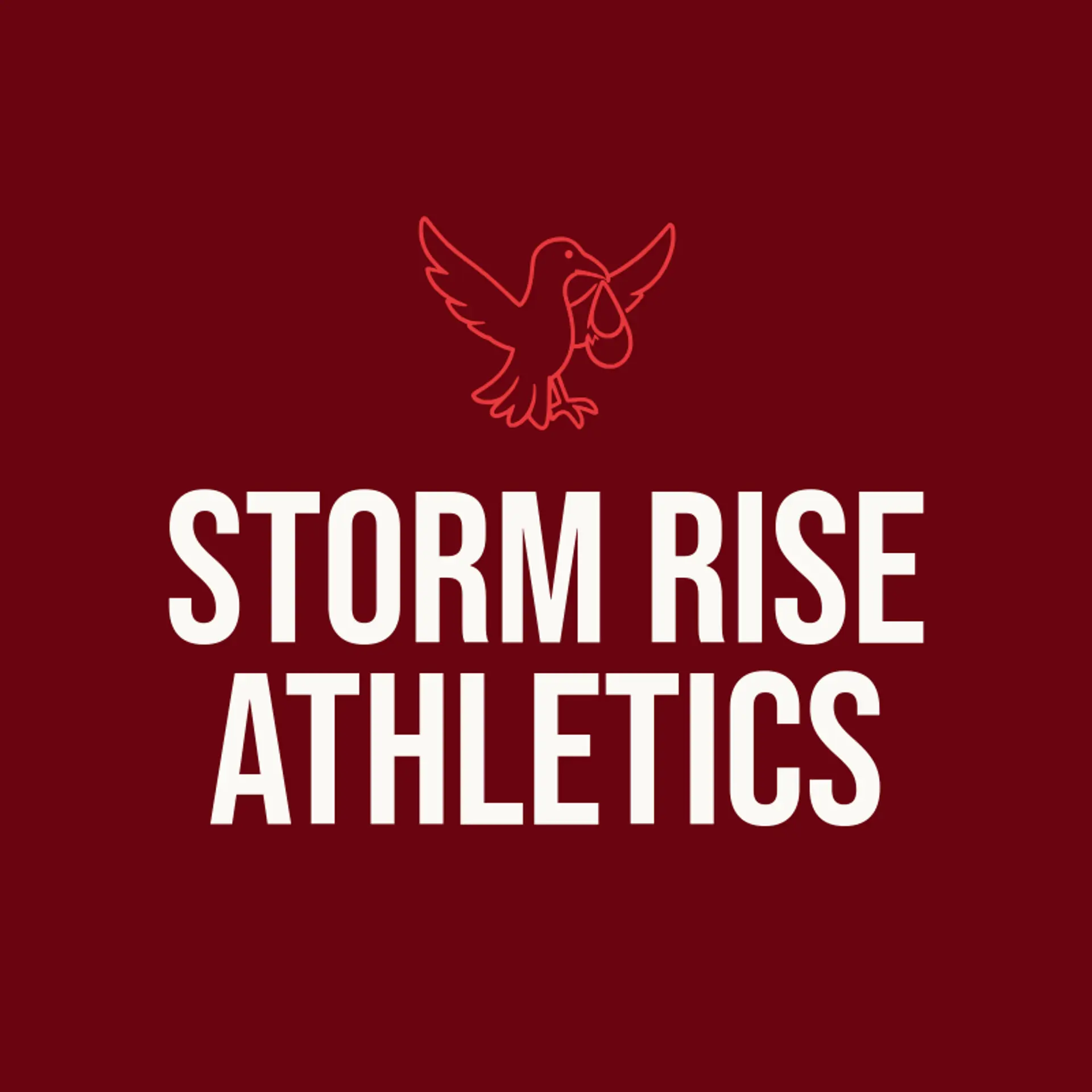 Storm Rise Athletics logo for storm