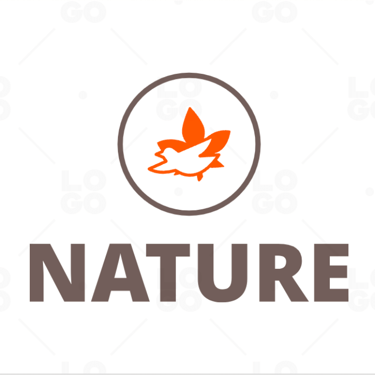 Logo Designs – NUIT Solutions