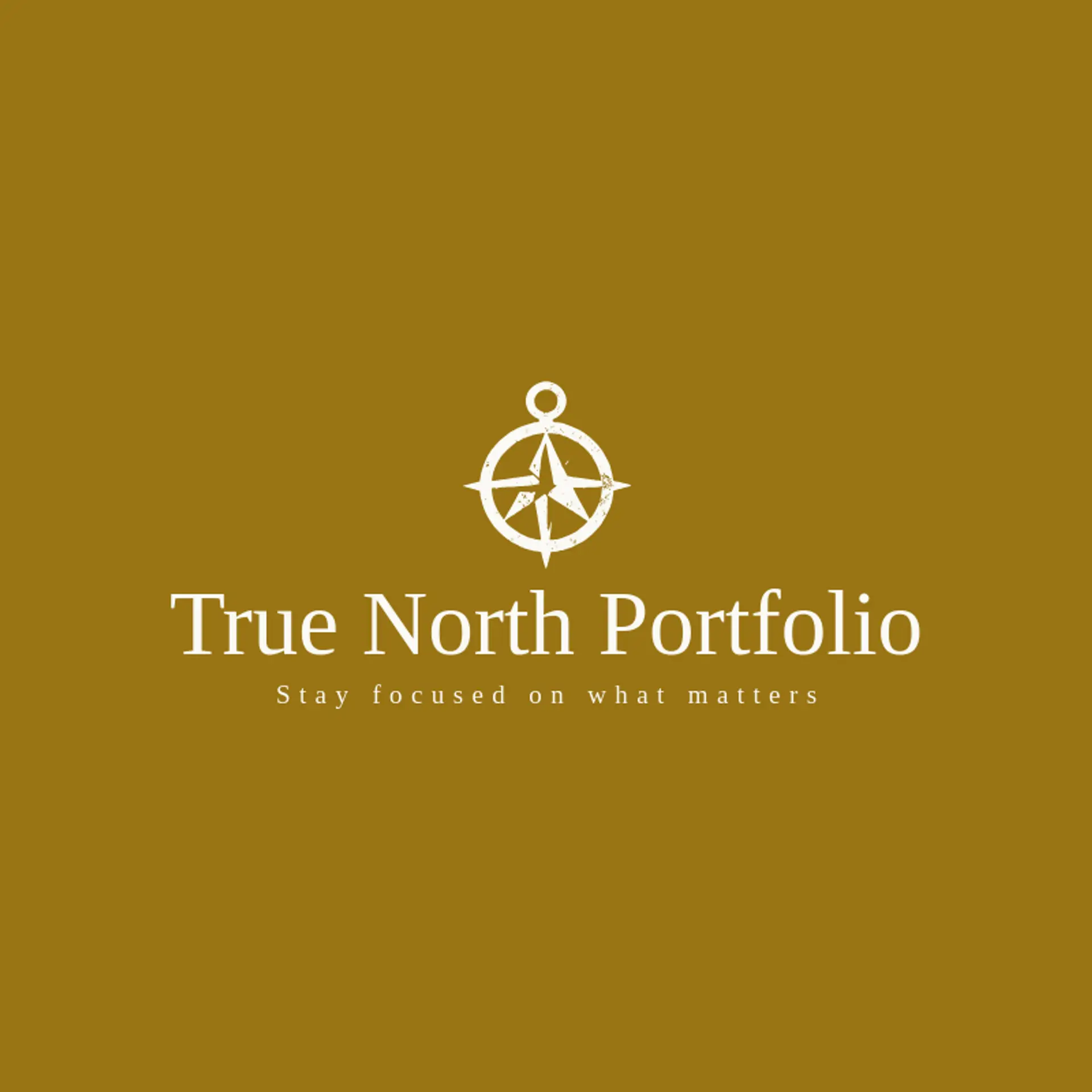 True North Portfolio logo for investment