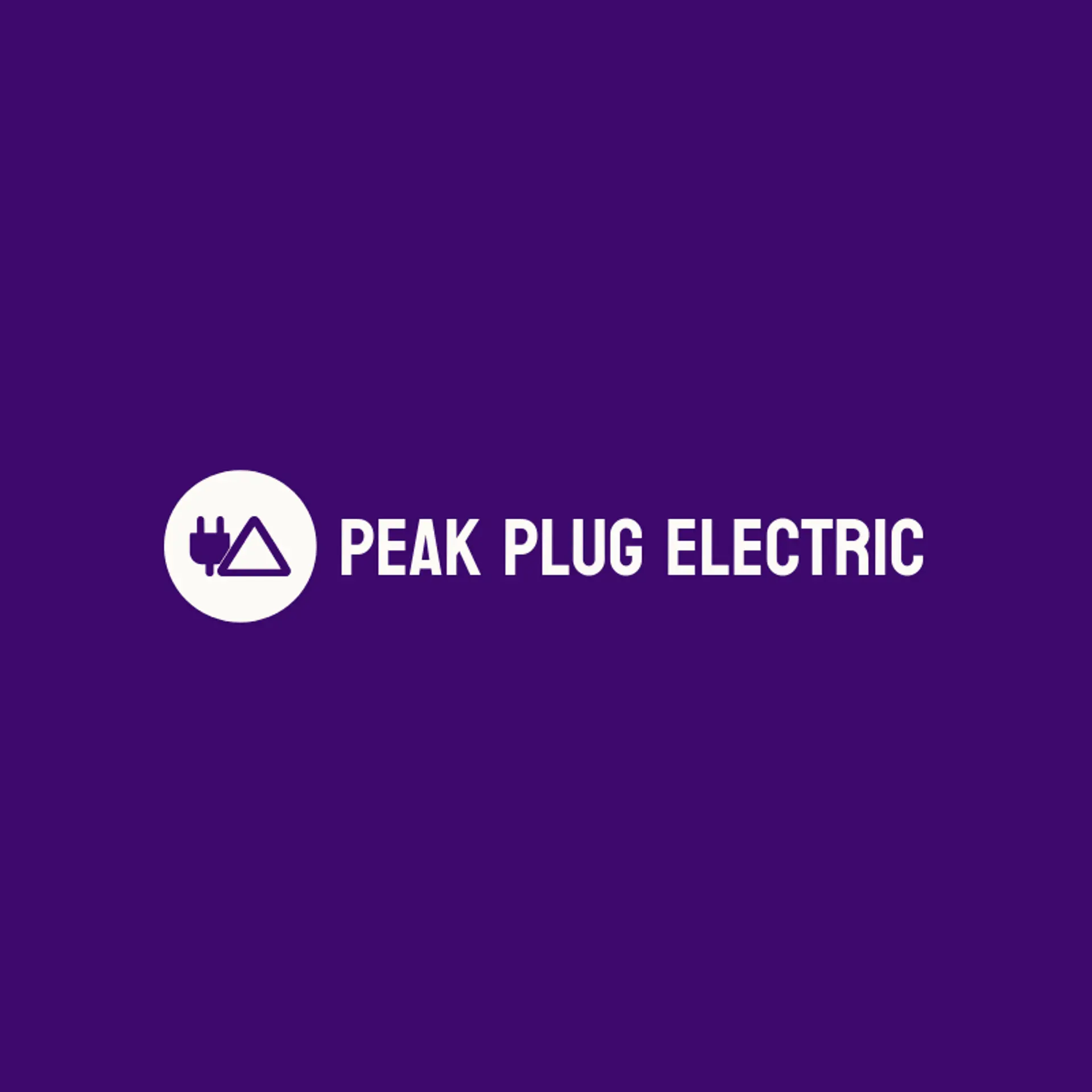 Peak Plug Electric logo for electric