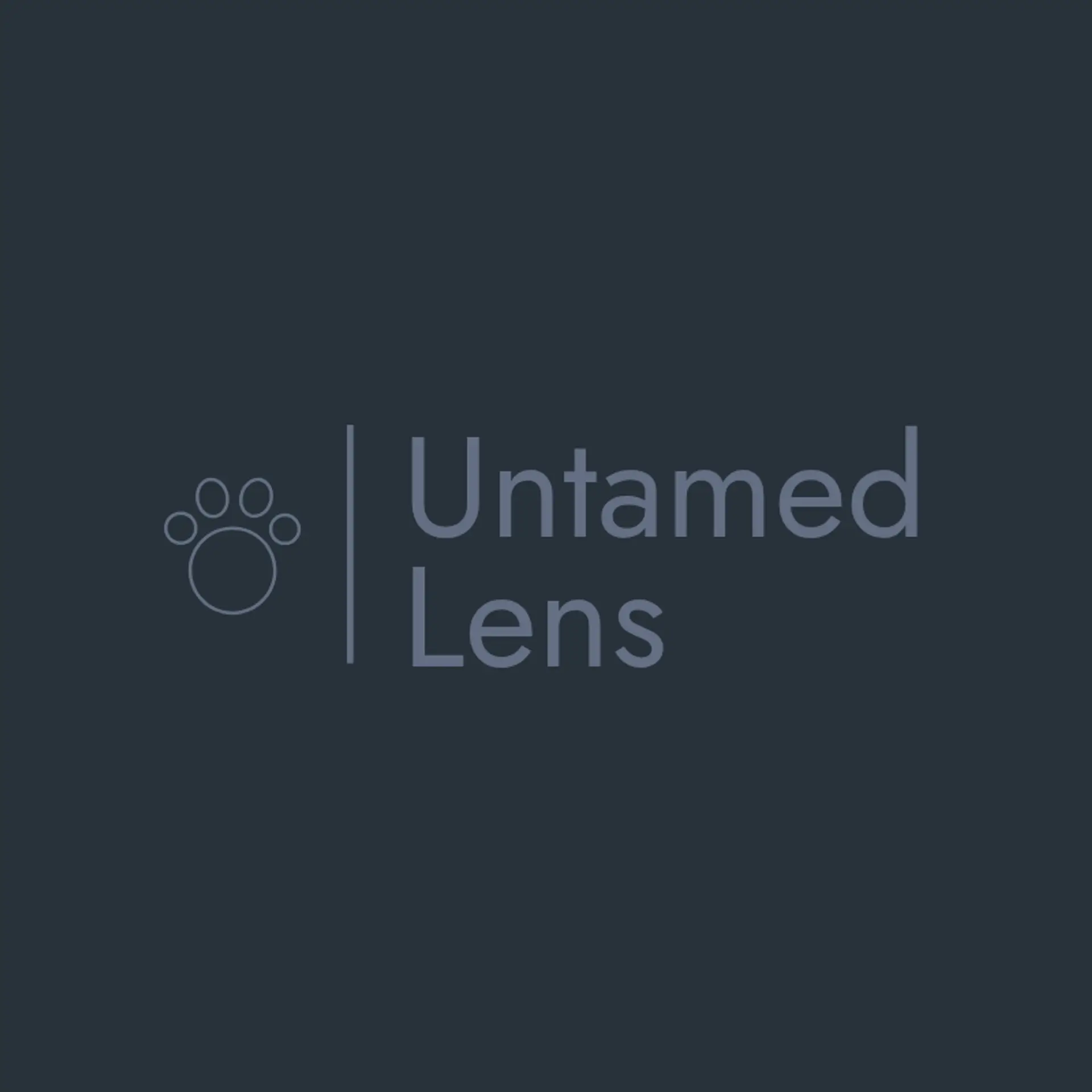 Wilderness Lens logo for wildlife photography