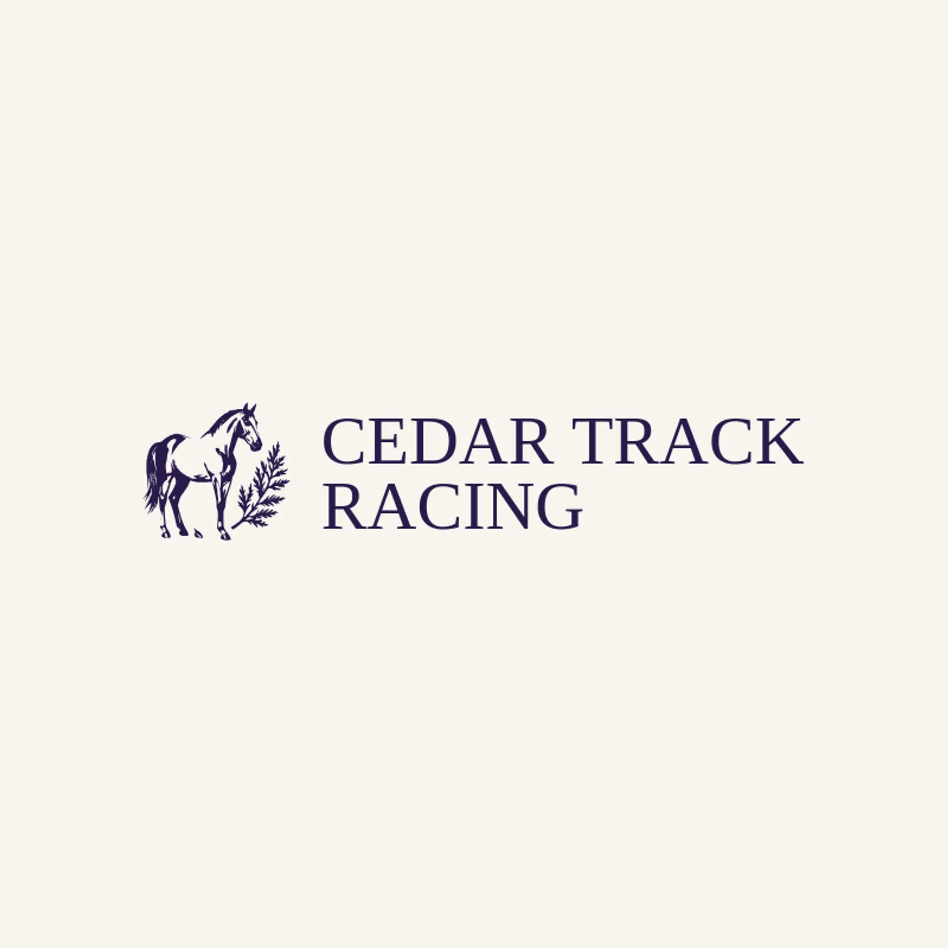 Cedar Track Racing logo for derby