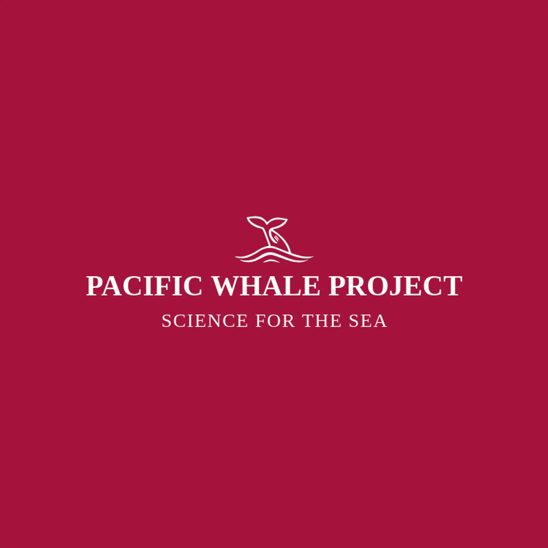 Pacific Whale Project logo for whale