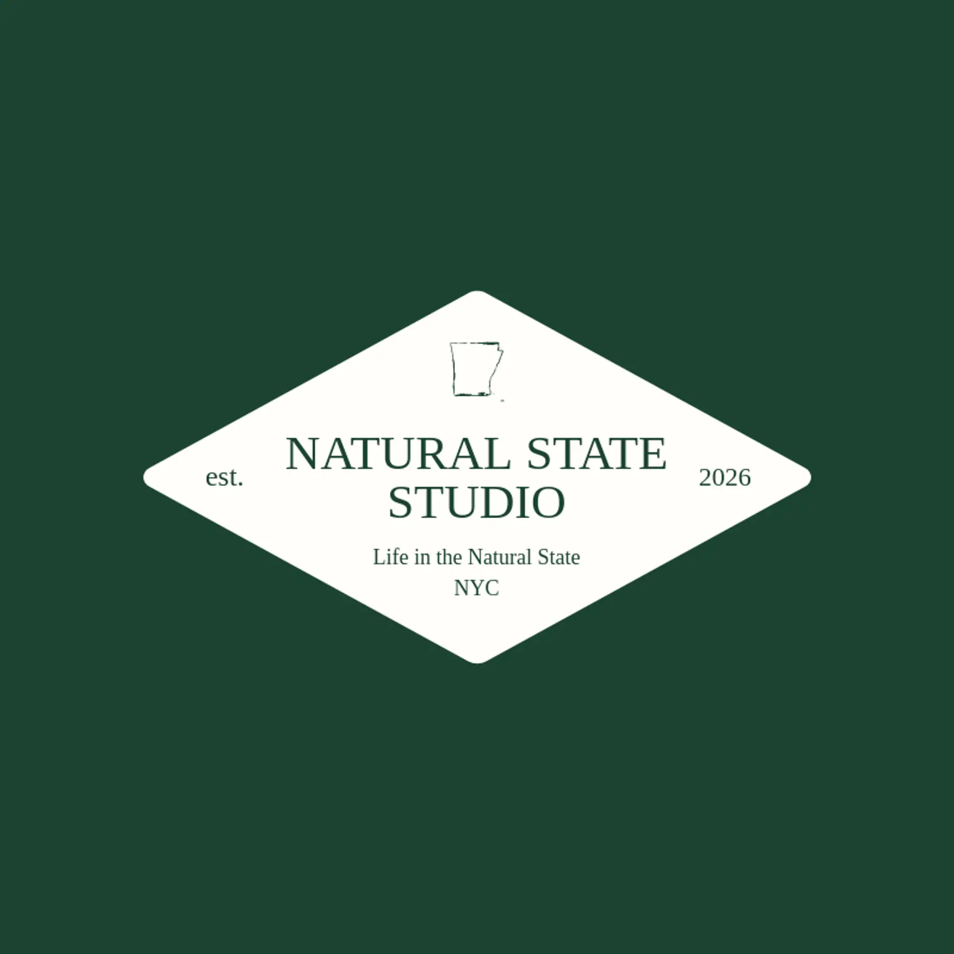 Natural State Studio logo for arkansas