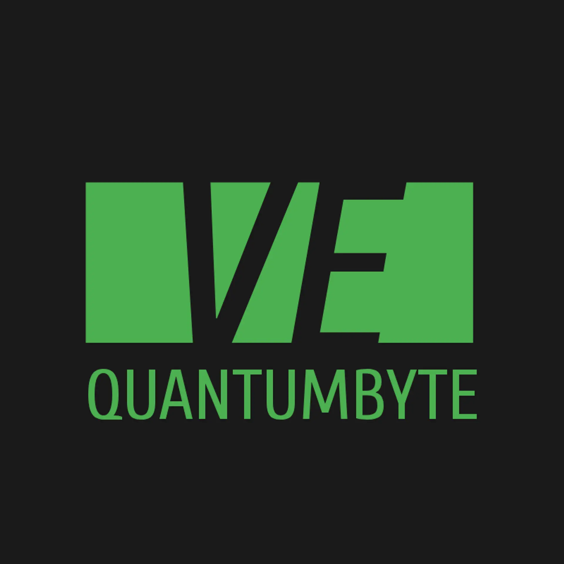 QuantumByte logo for digital tech