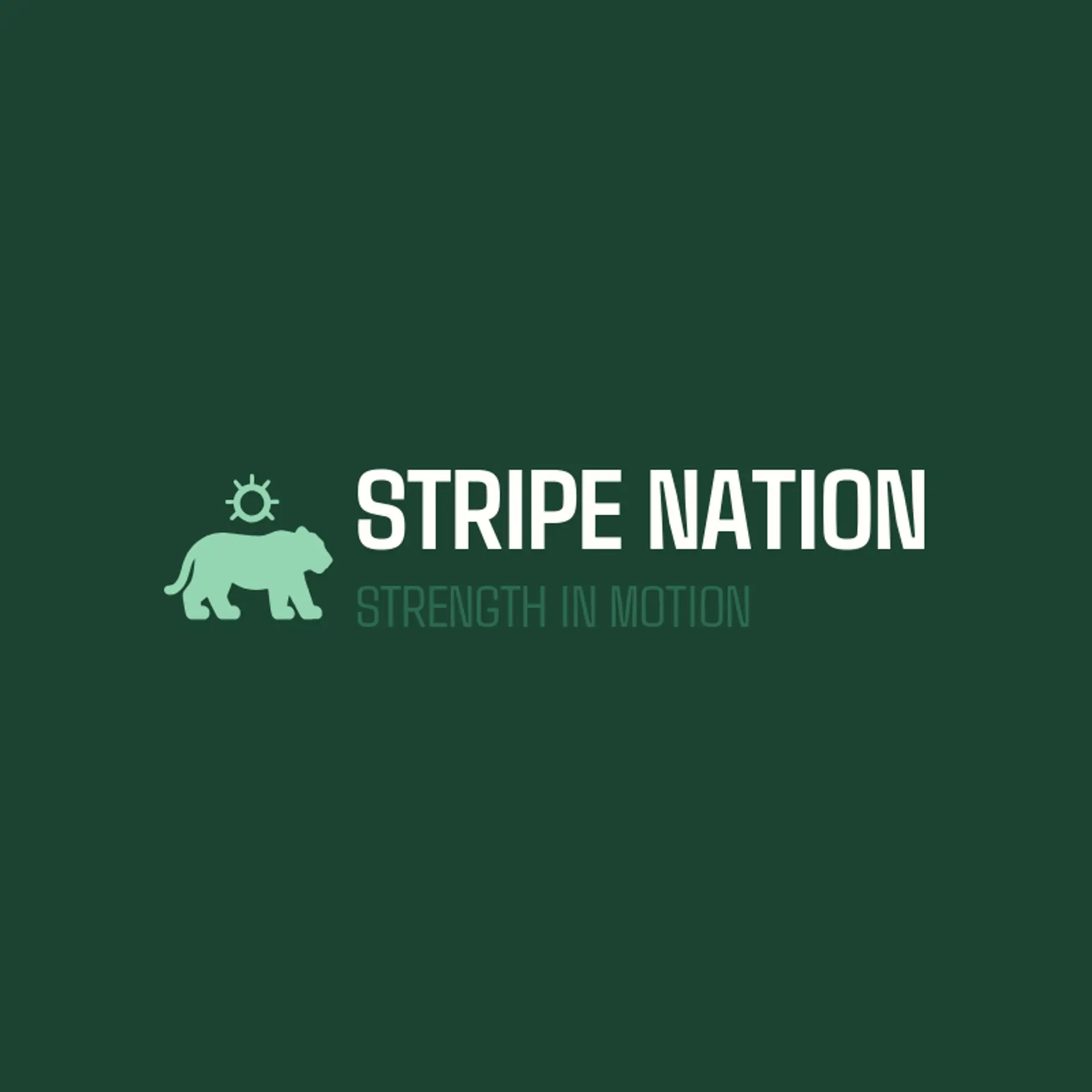Stripe Nation logo for indian flag
