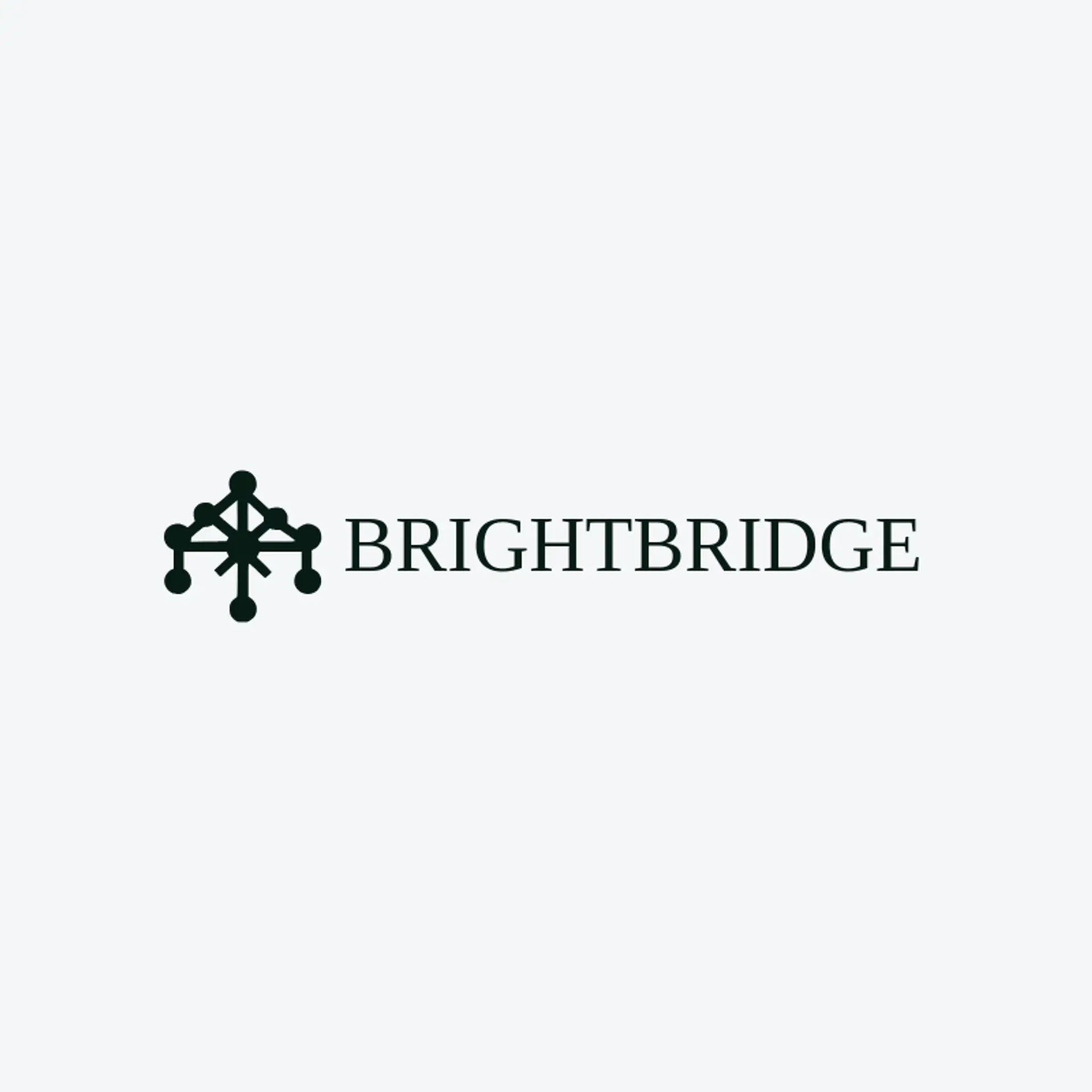 Bright Bridge logo for social