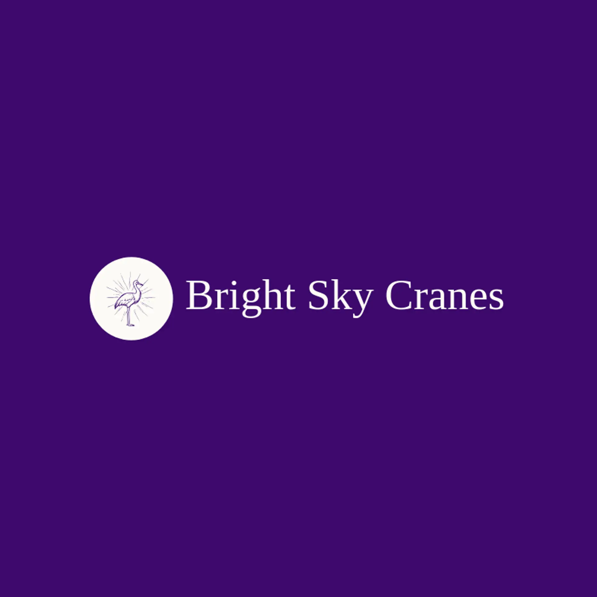 Bright Sky Cranes logo for crane