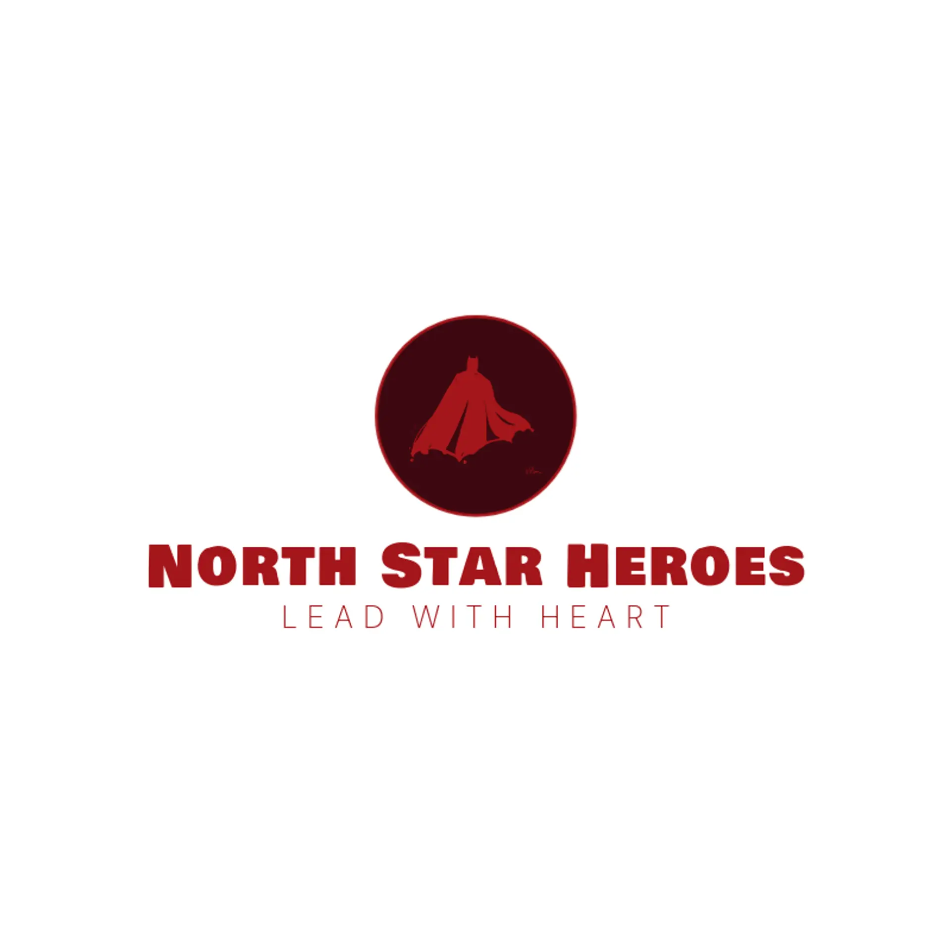 North Star Heroes logo for hero