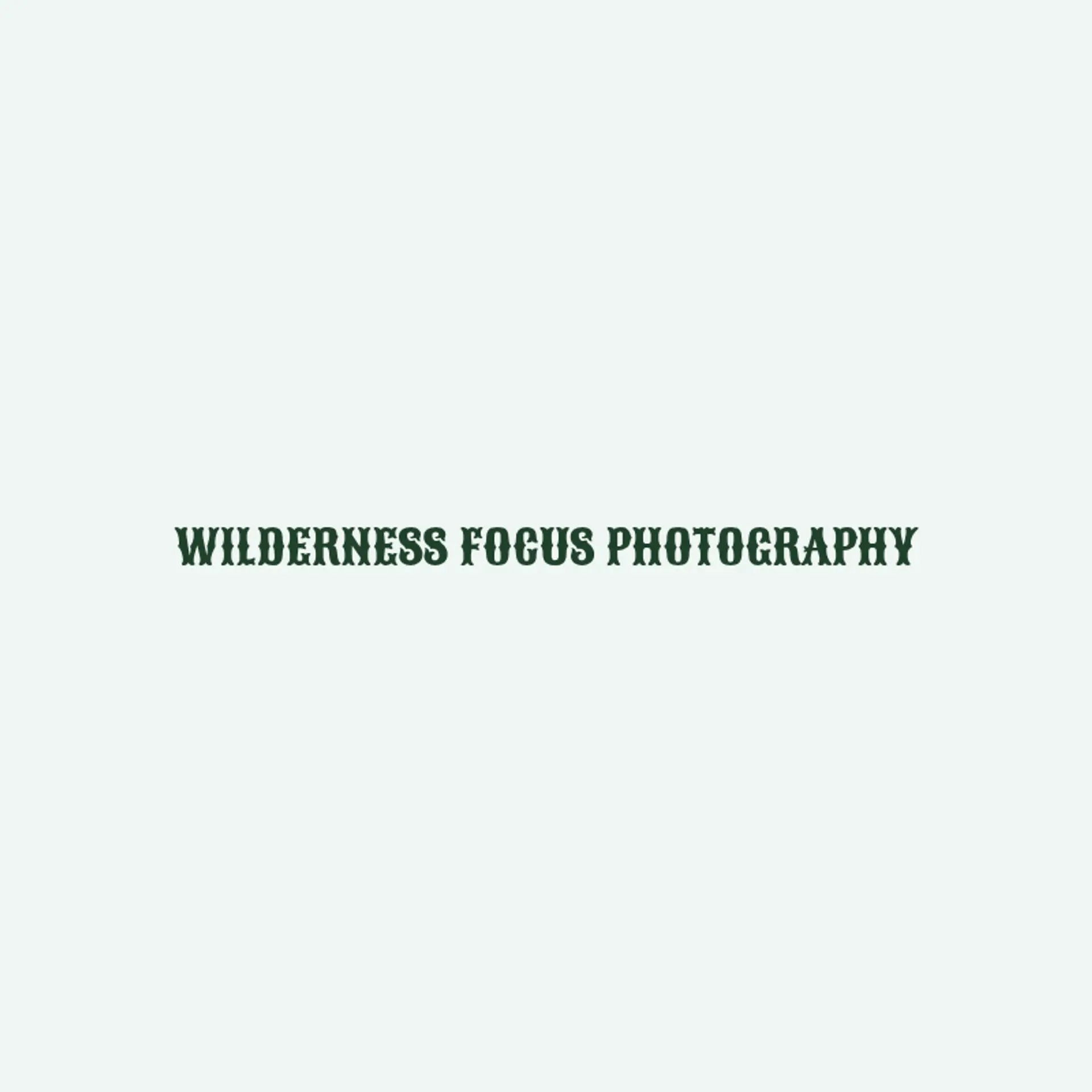 Wildlens Vista logo for wildlife photography