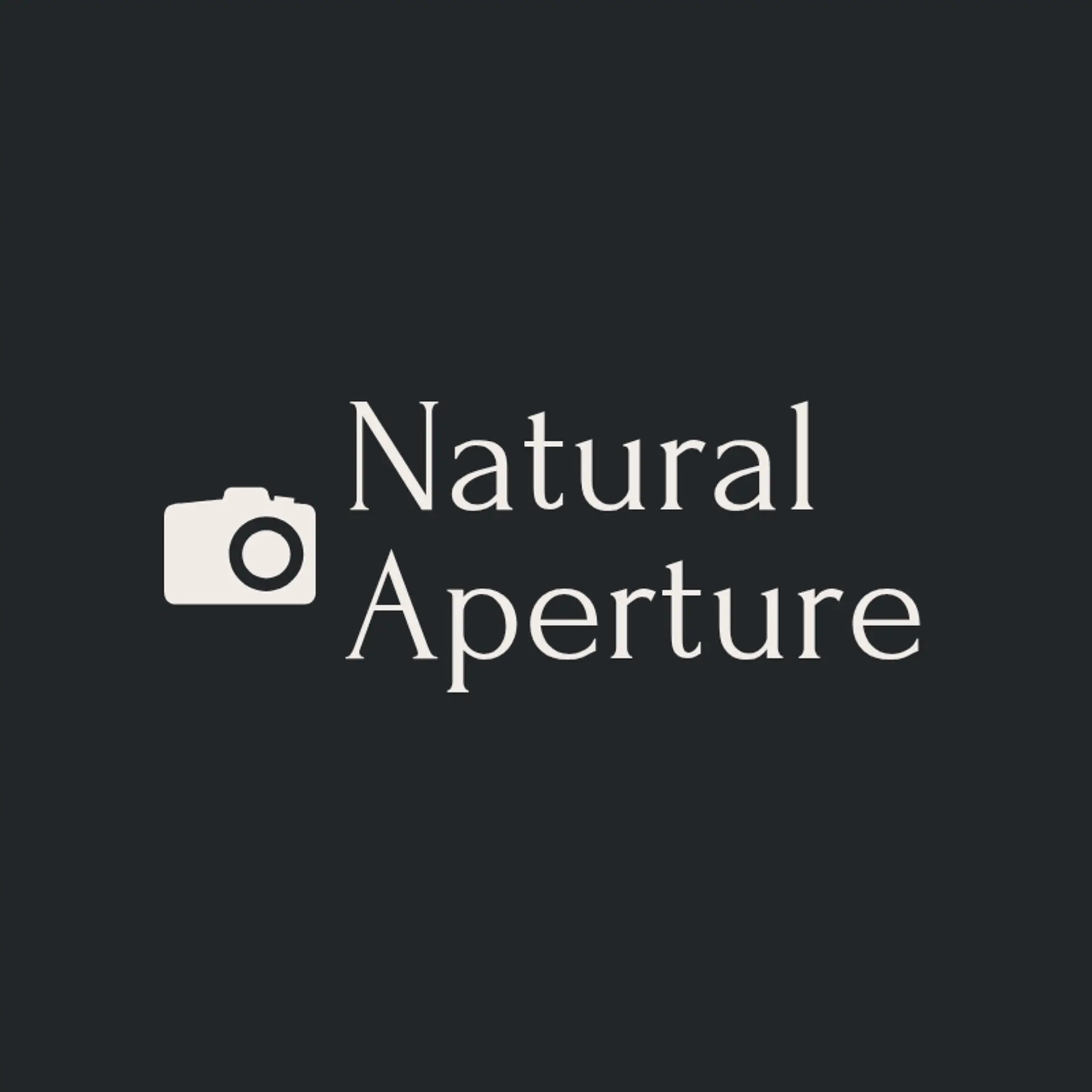 Radiant Snap logo for simple photography