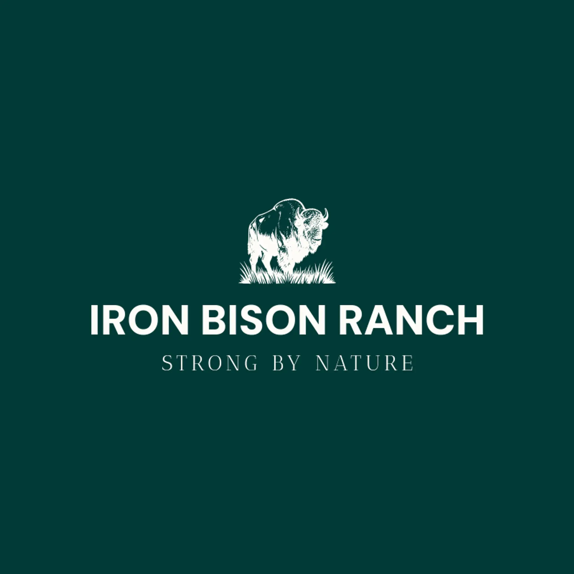 Iron Bison Ranch logo for bison