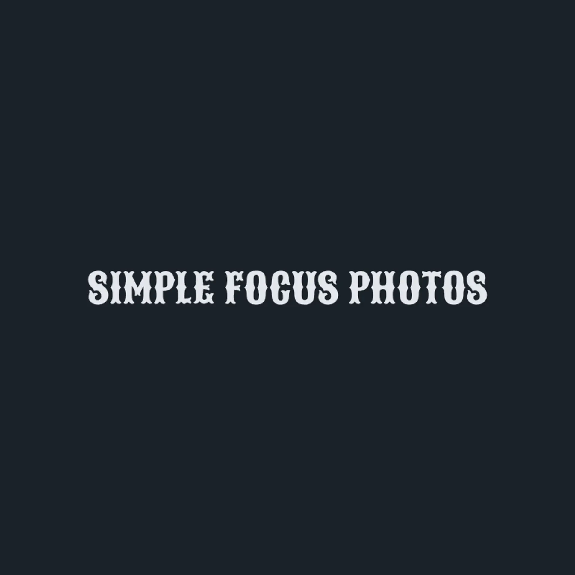Everlight Studio logo for simple photography