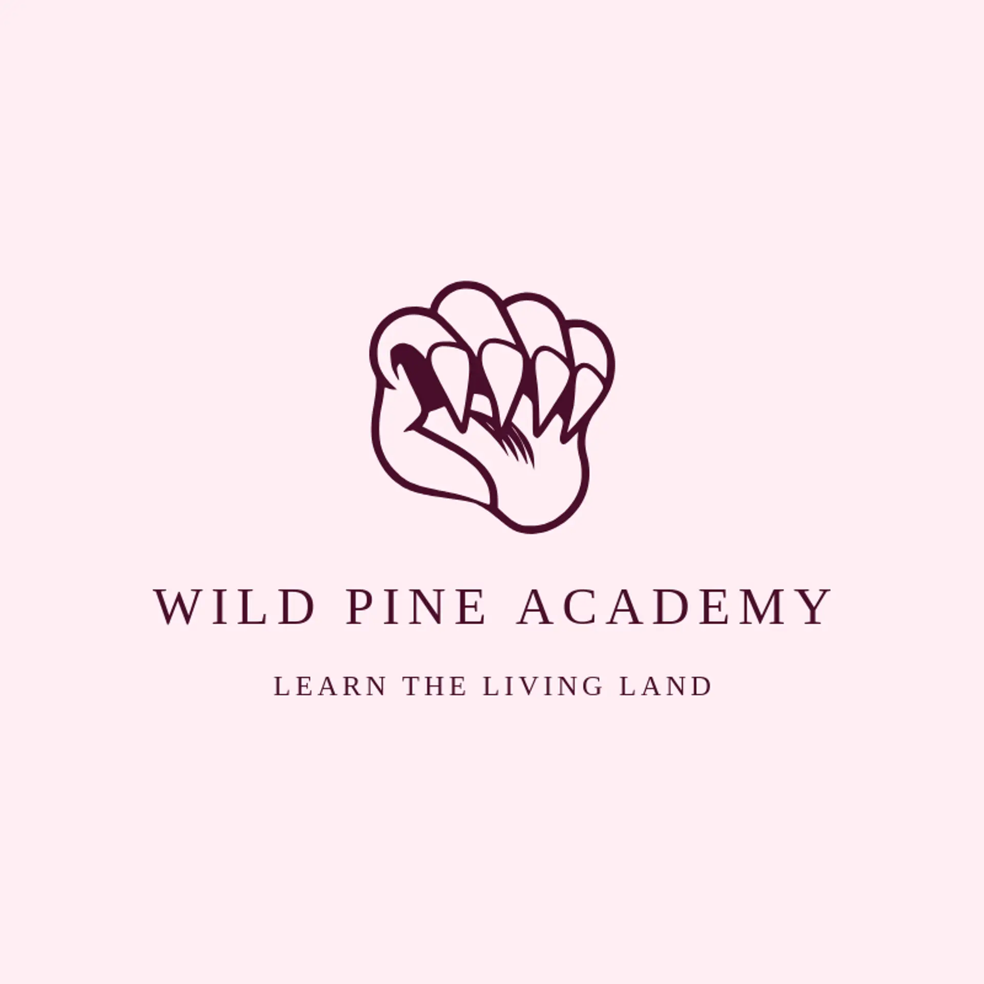 Wild Pine Academy logo for wild