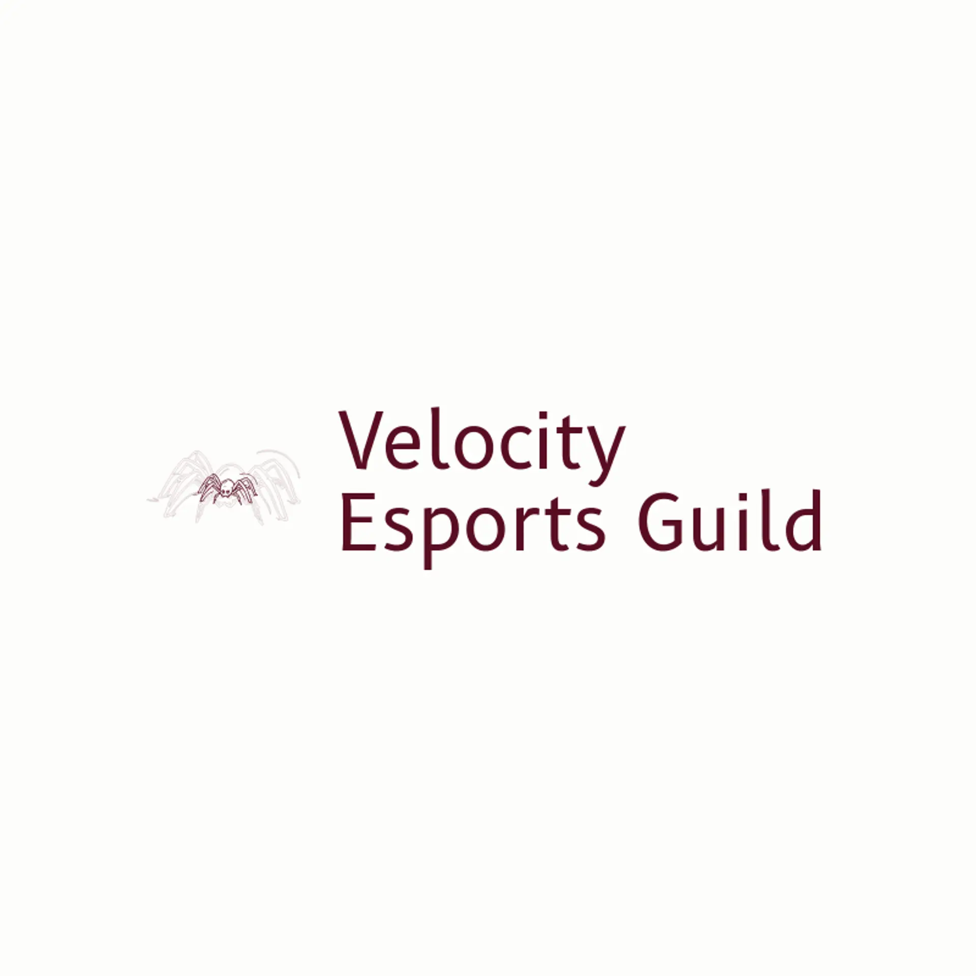 Velocity Esports Guild logo for spider
