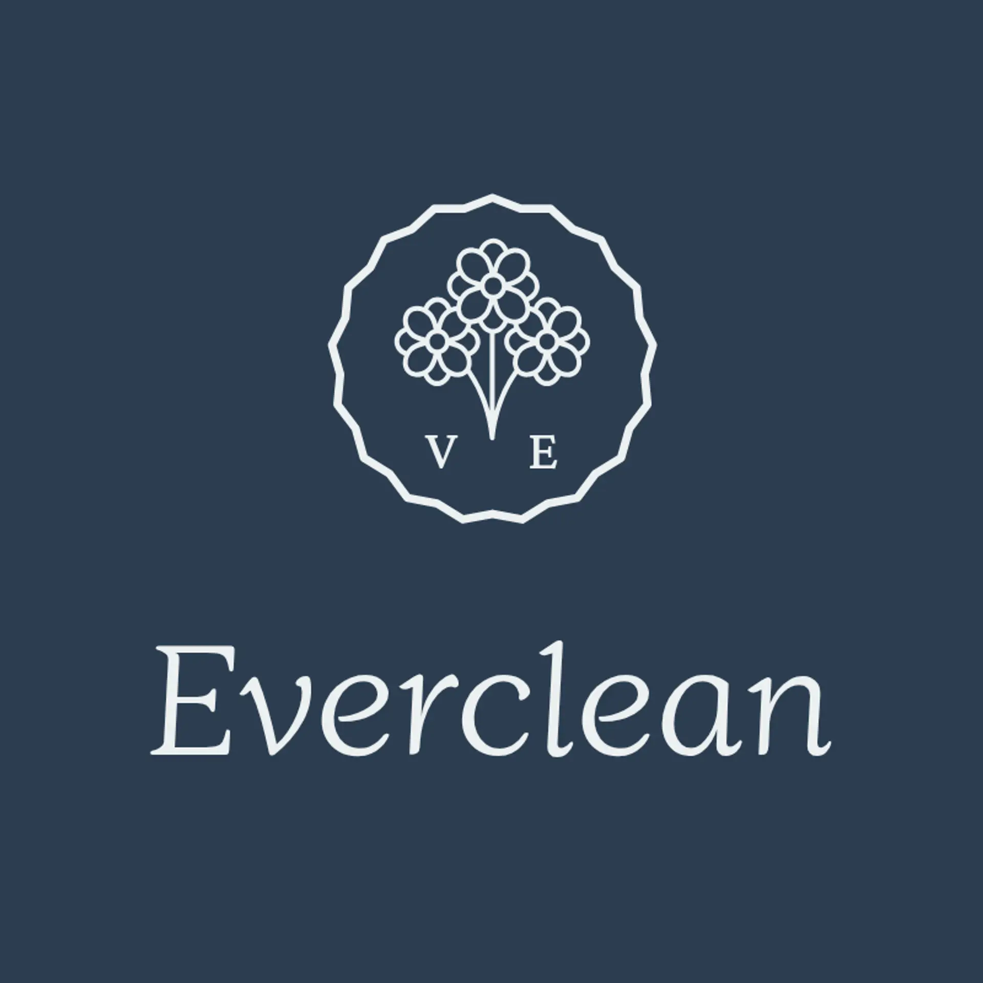 EverClean logo for cleaning company