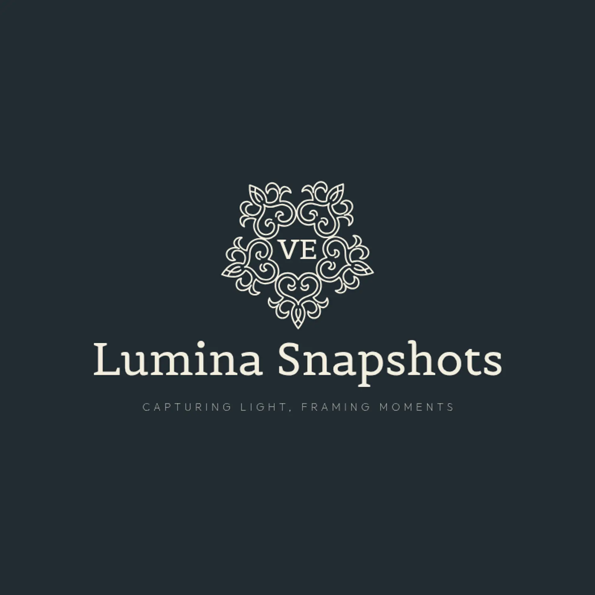 Prism Lens Photography logo for photography
