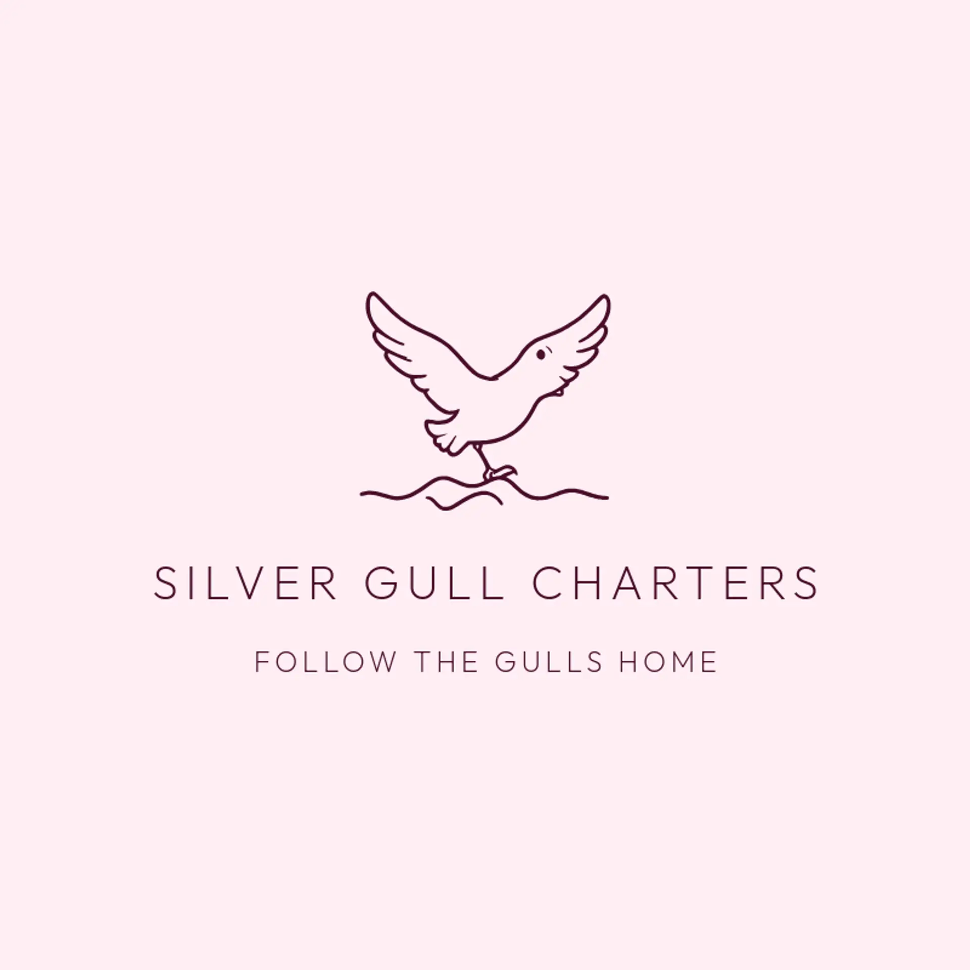 Silver Gull Charters logo for cruise