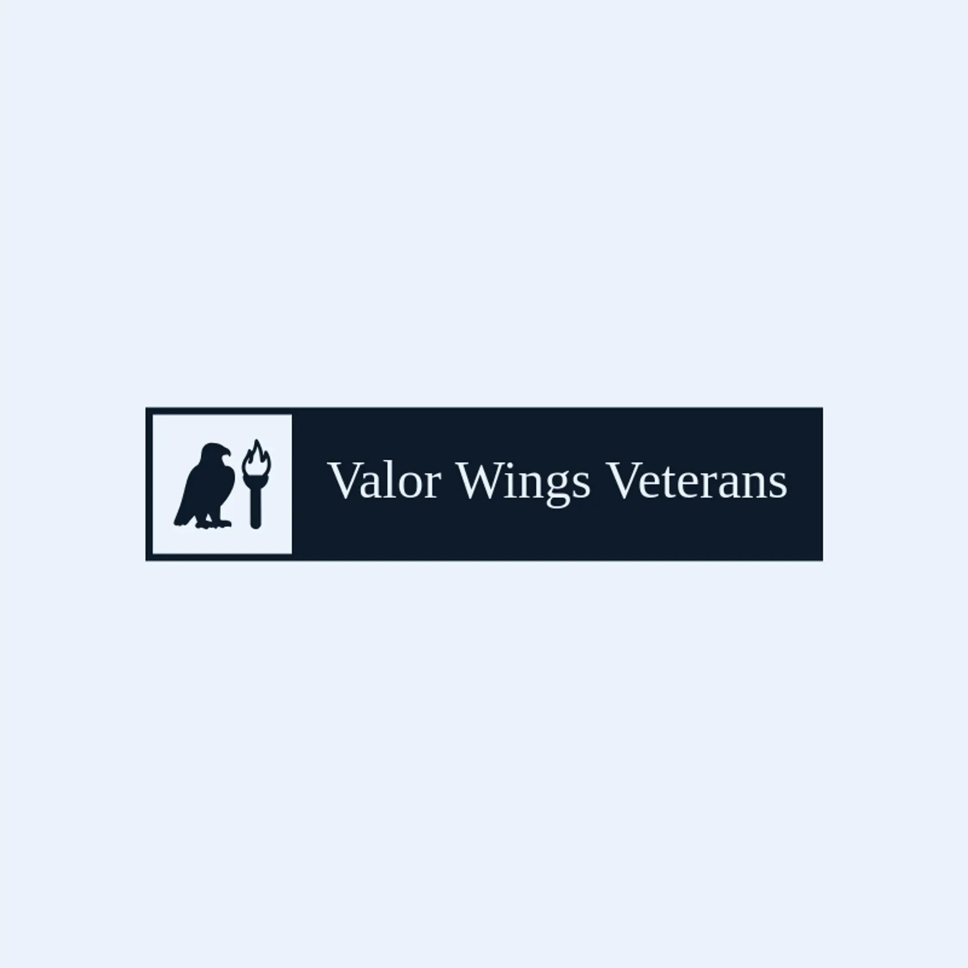 Valor Wings Veterans logo for veteran