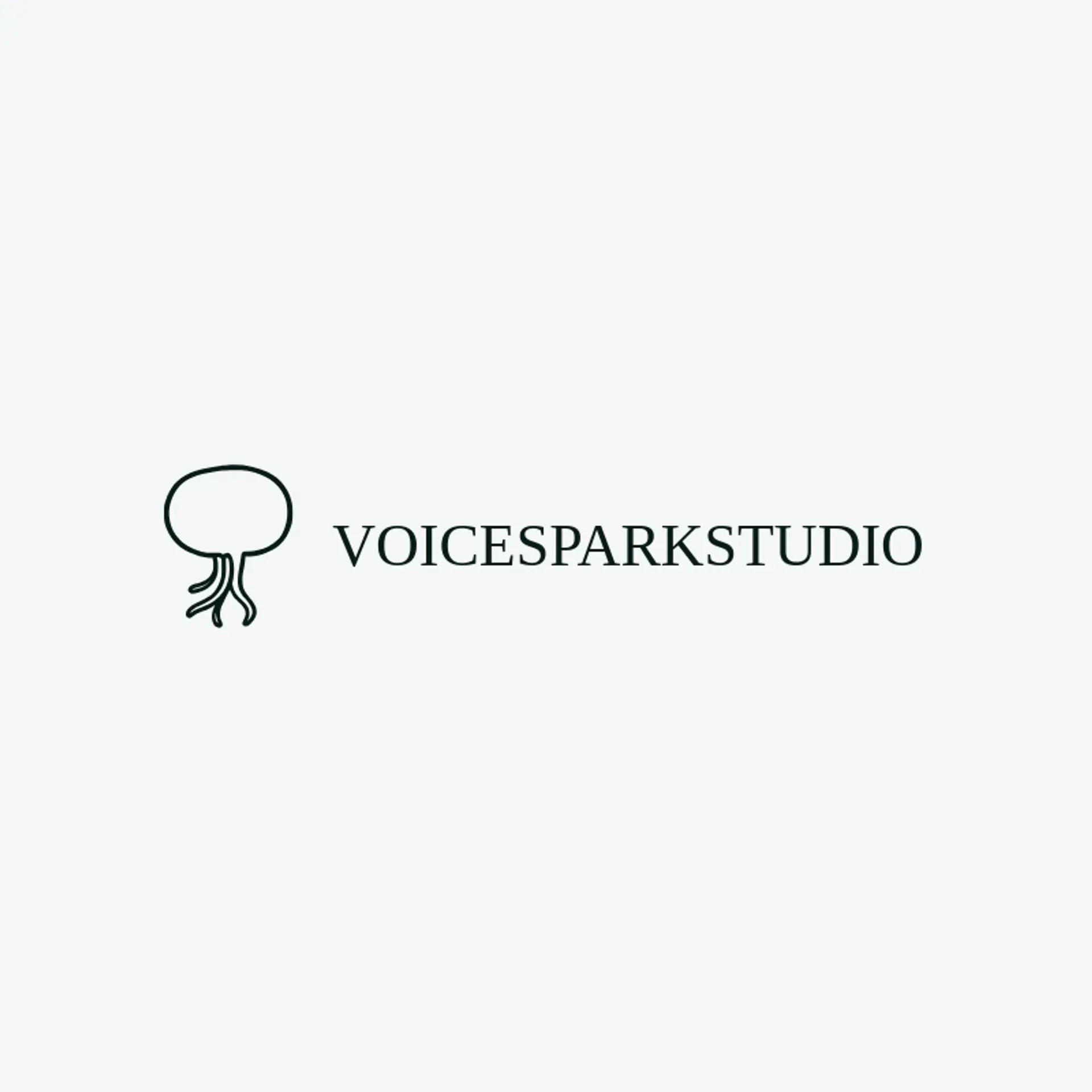 Voice Spark Studio logo for translation