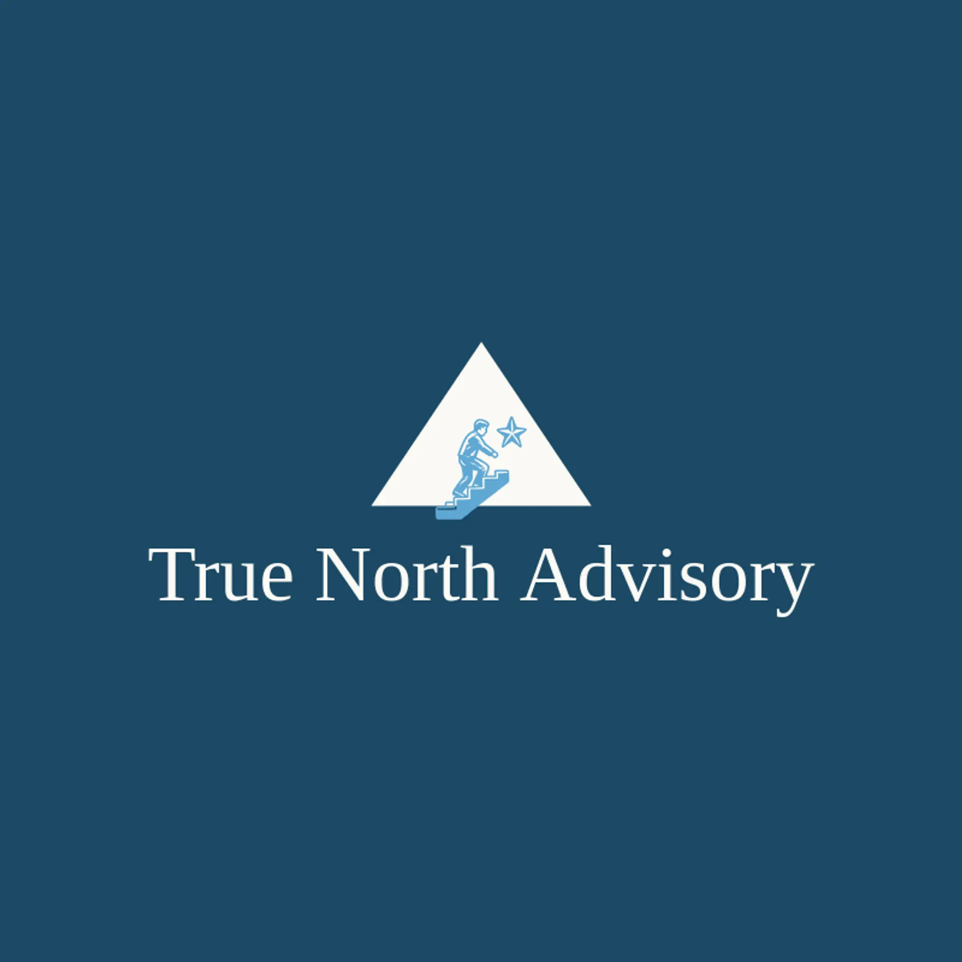 True North Advisory logo for executive