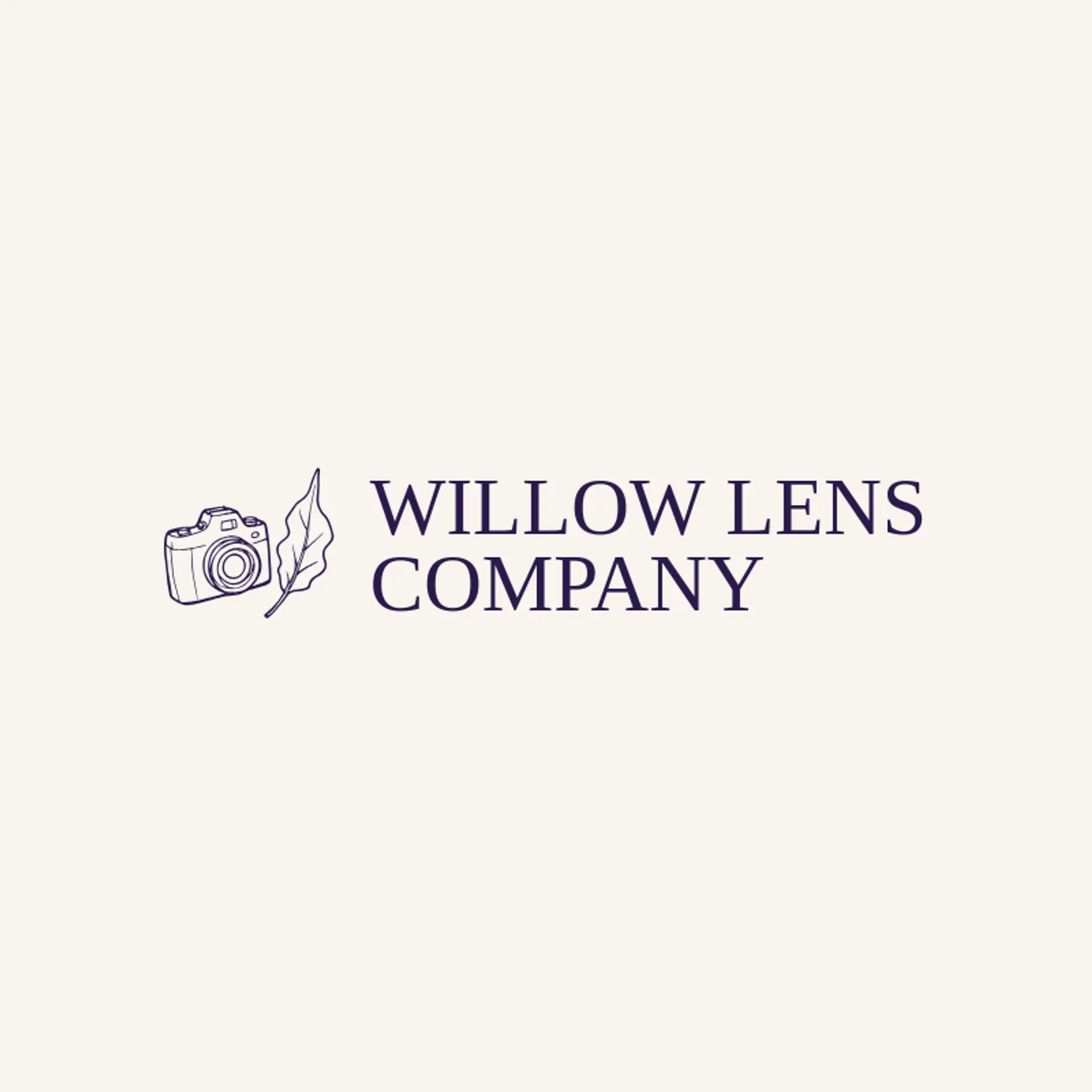Willow Lens Company logo for video camera