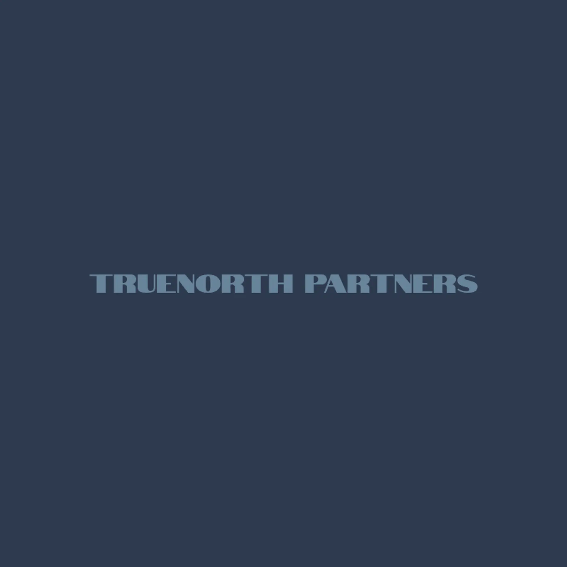 TrueNorth Partners logo for consulting