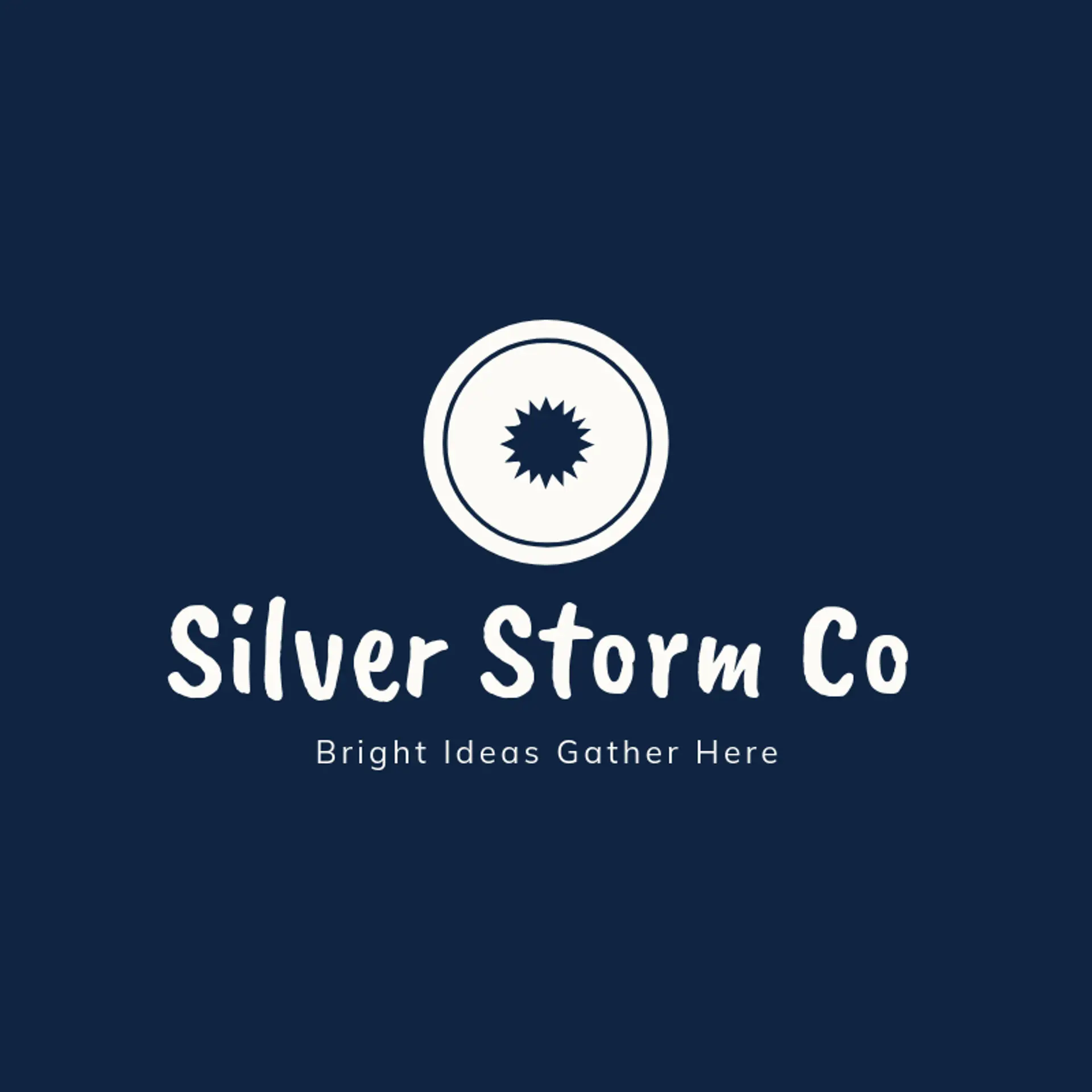Silver Storm Co logo for storm